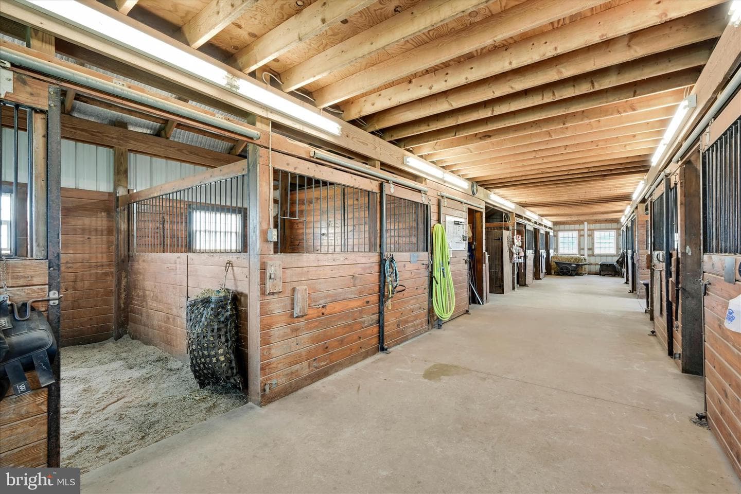 145 Franklintown Road photo 59