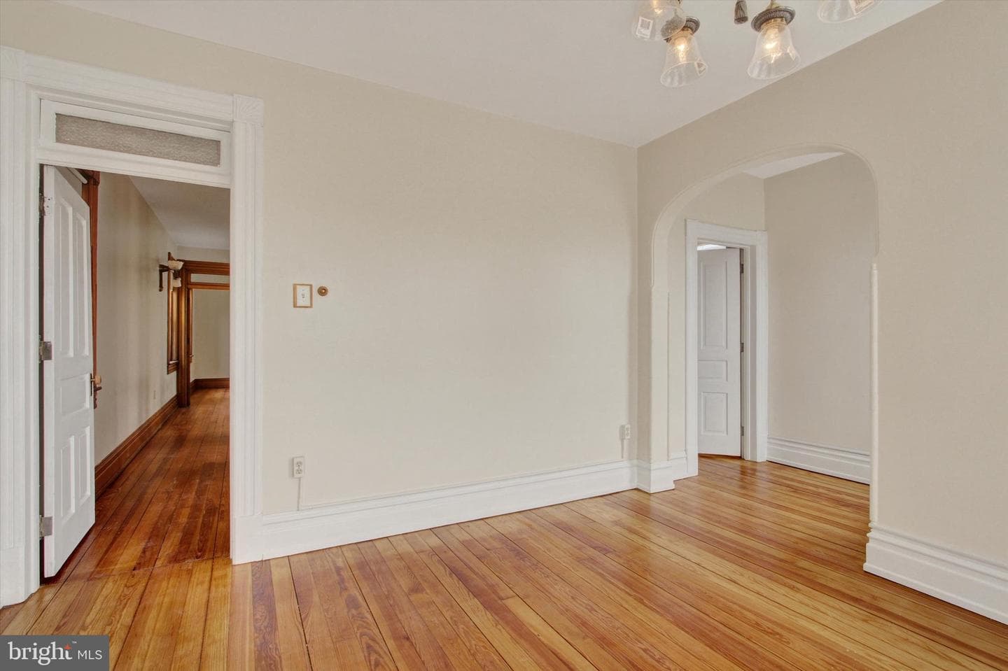 407 Carlisle Street photo 20