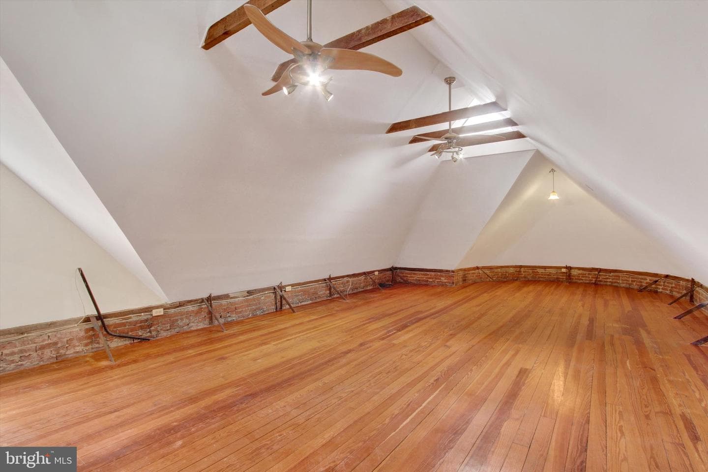 407 Carlisle Street photo 23
