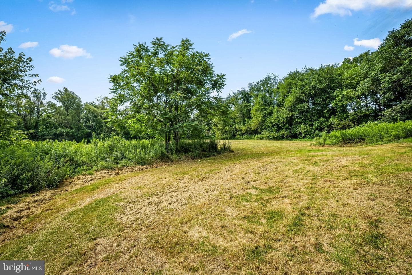 16756 Mount Airy Road photo 53