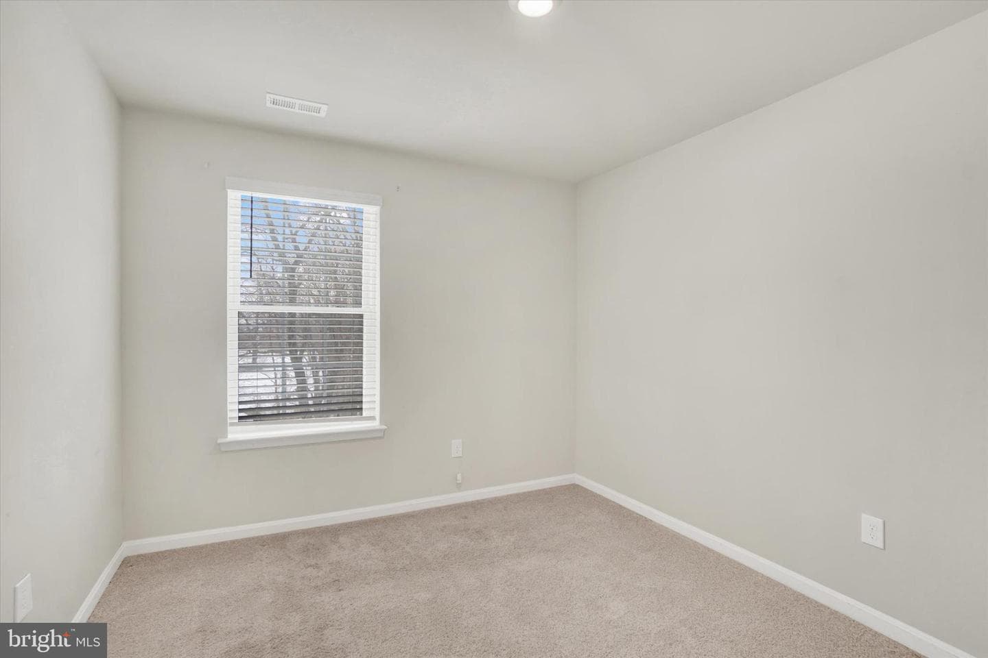 635 Locust Run Drive photo 20