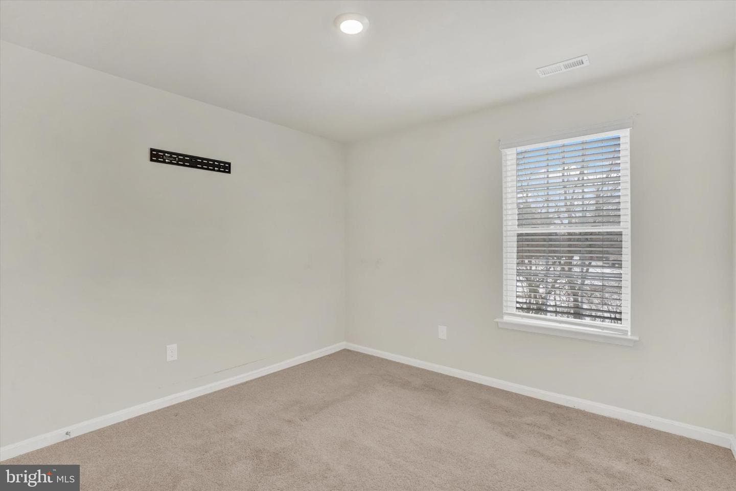 635 Locust Run Drive photo 22