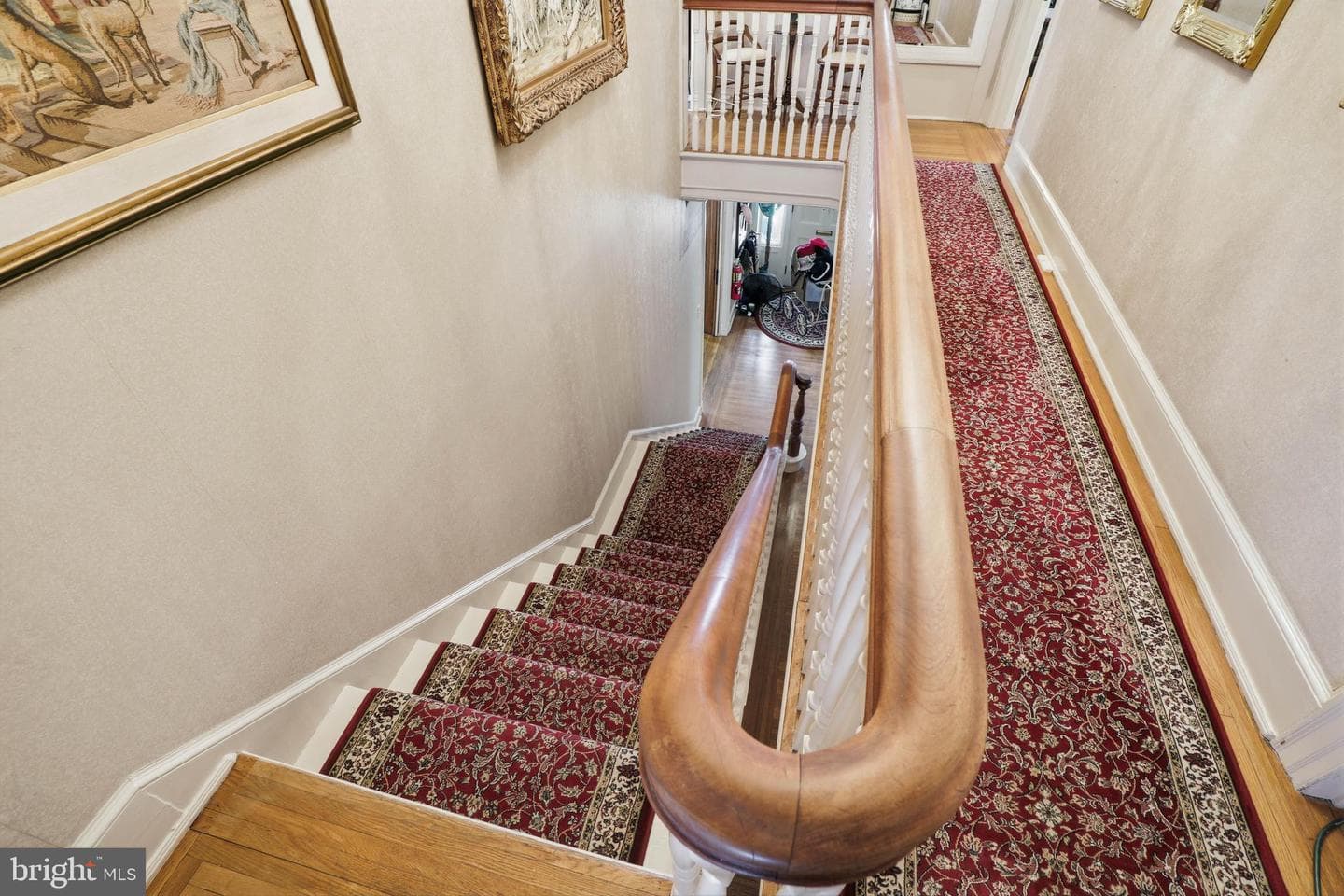 252 Frederick Street photo 30