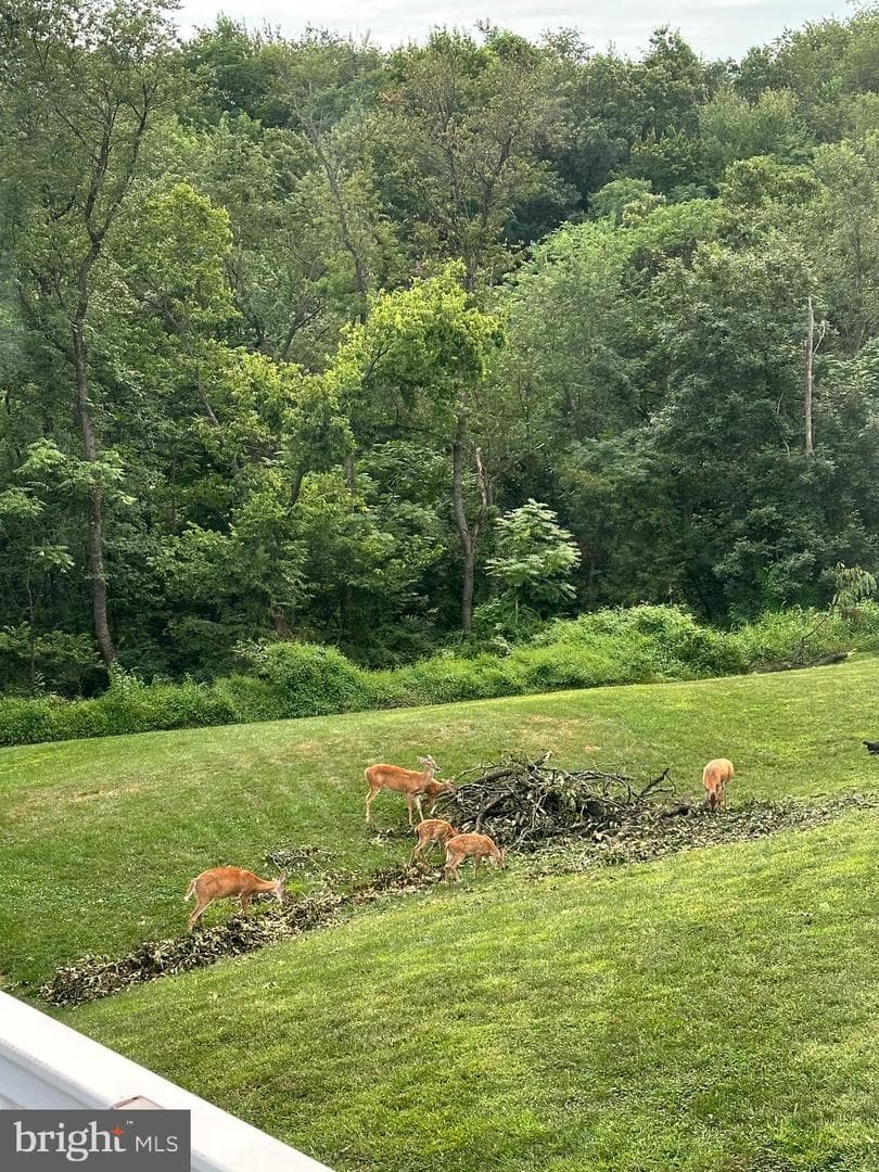 57 Chateau Circle photo 39