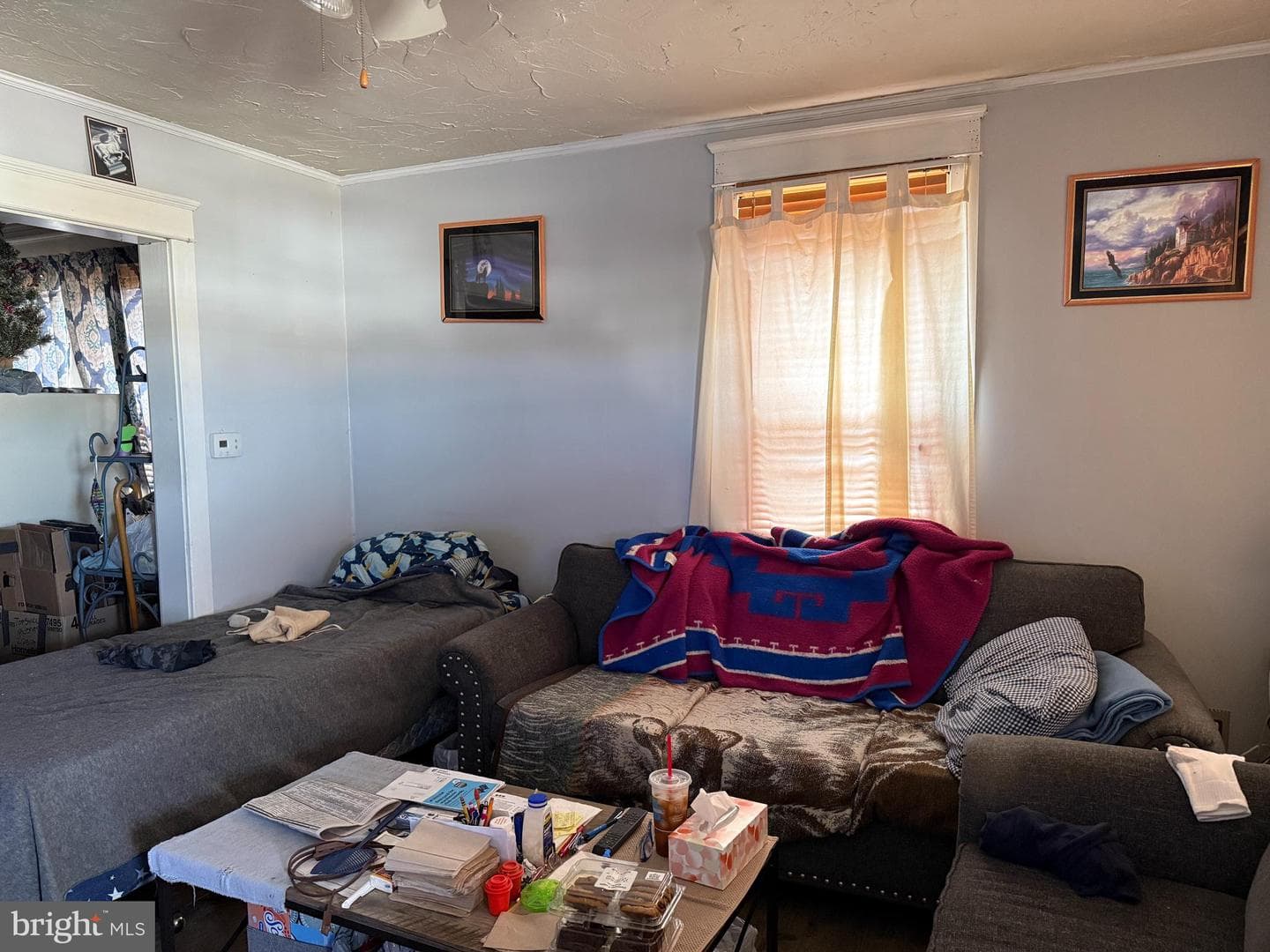 547 Mcallister Street photo 6