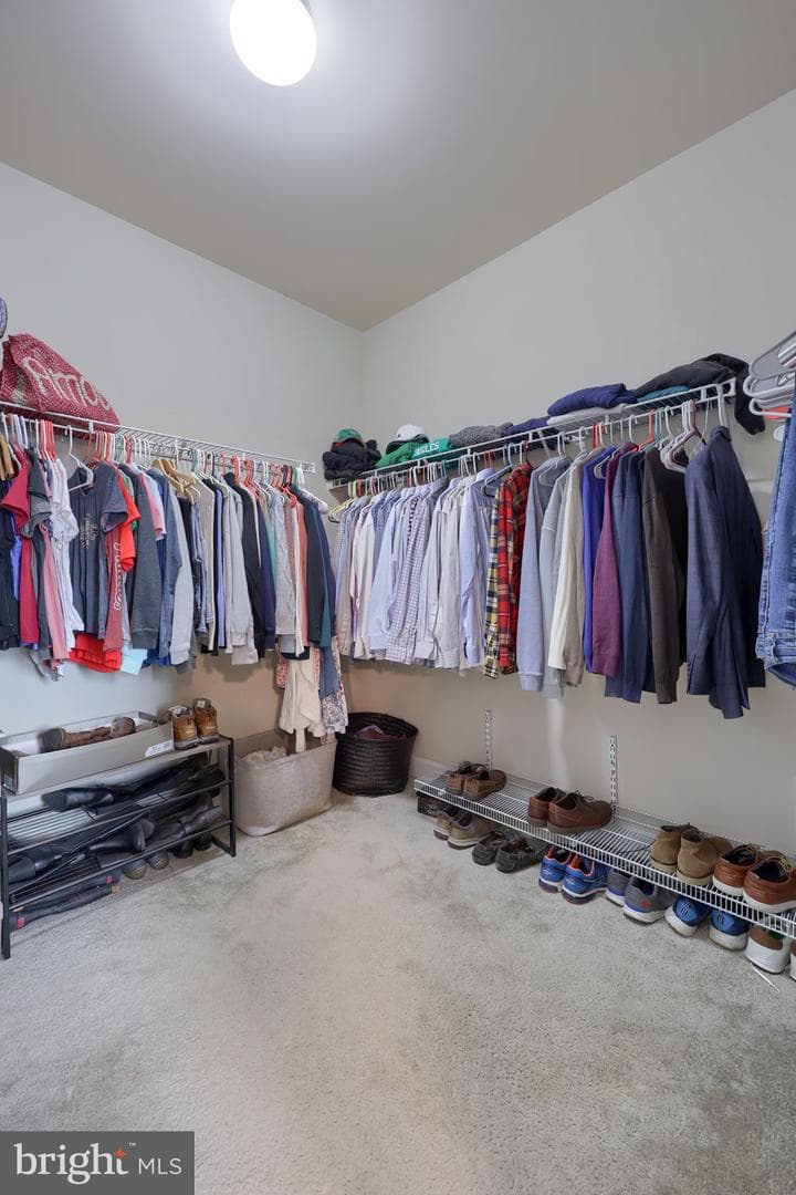 8 Ivanhoe Lane photo 47