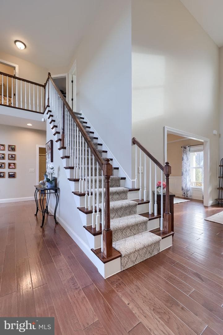 8 Ivanhoe Lane photo 48