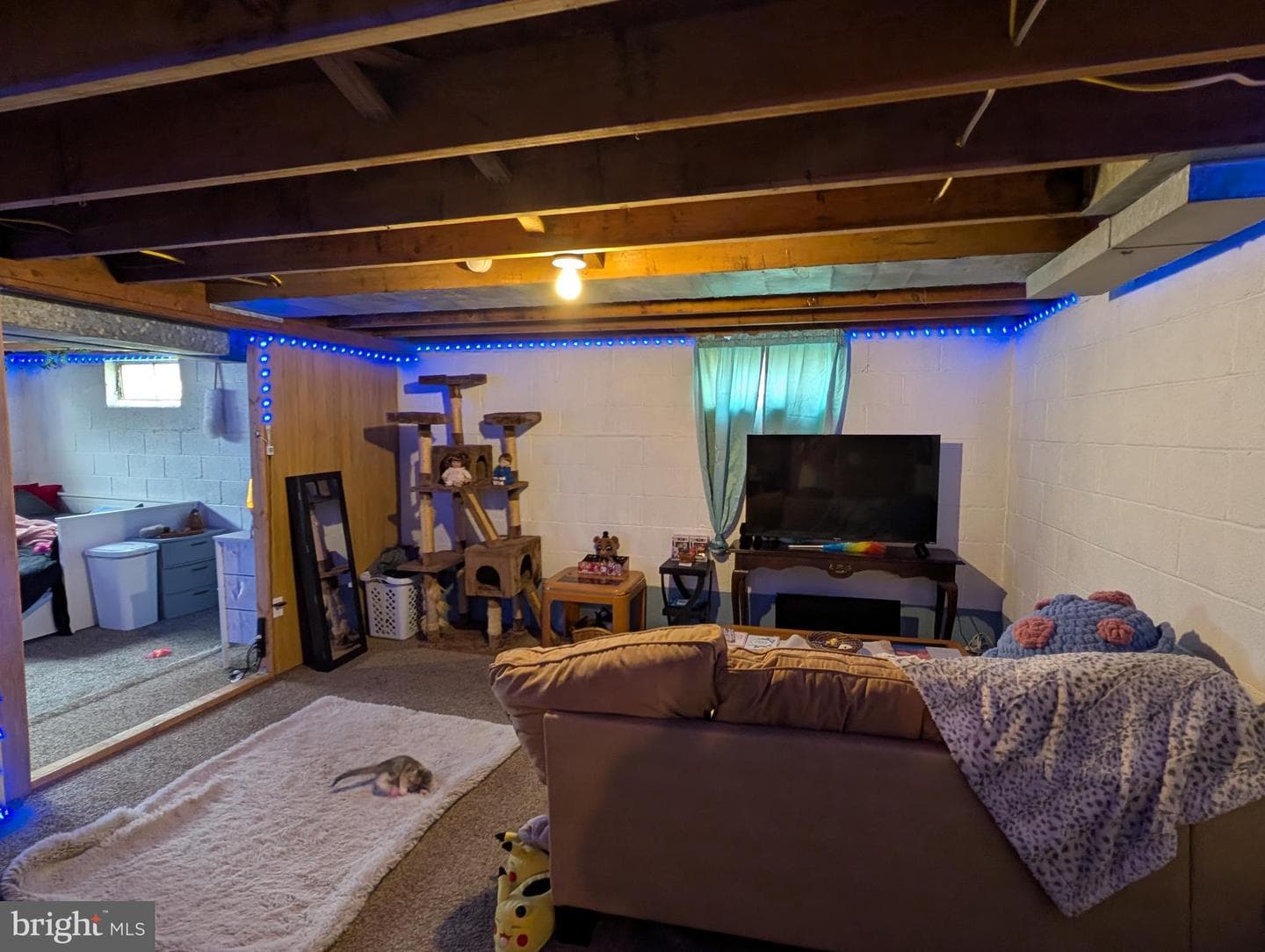 1731 6th Avenue photo 10