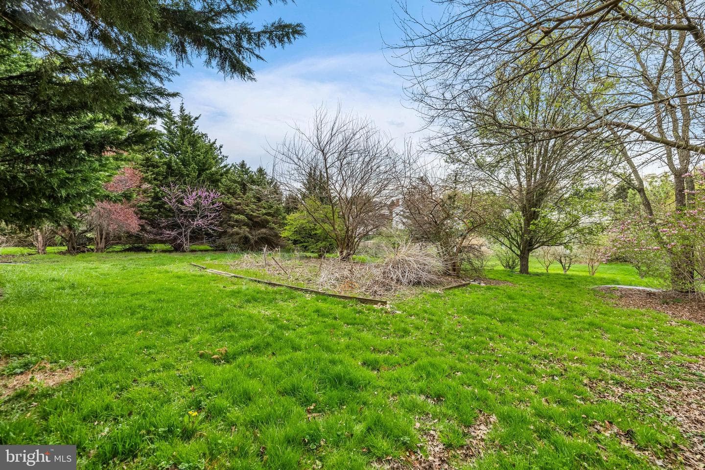 360 Dew Drop Road photo 41
