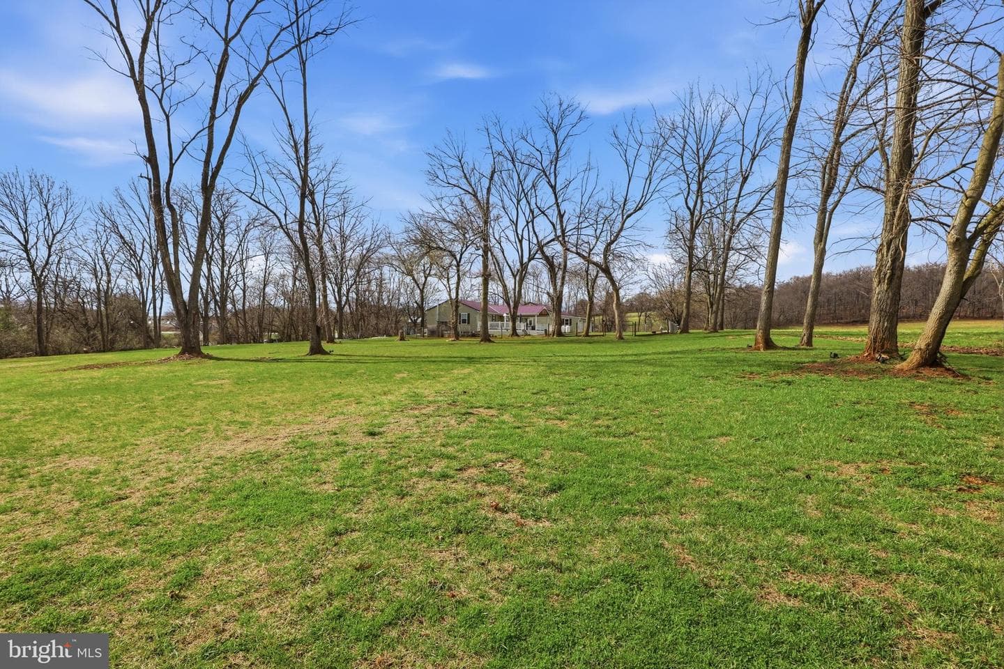 1025 White Oak Road photo 53
