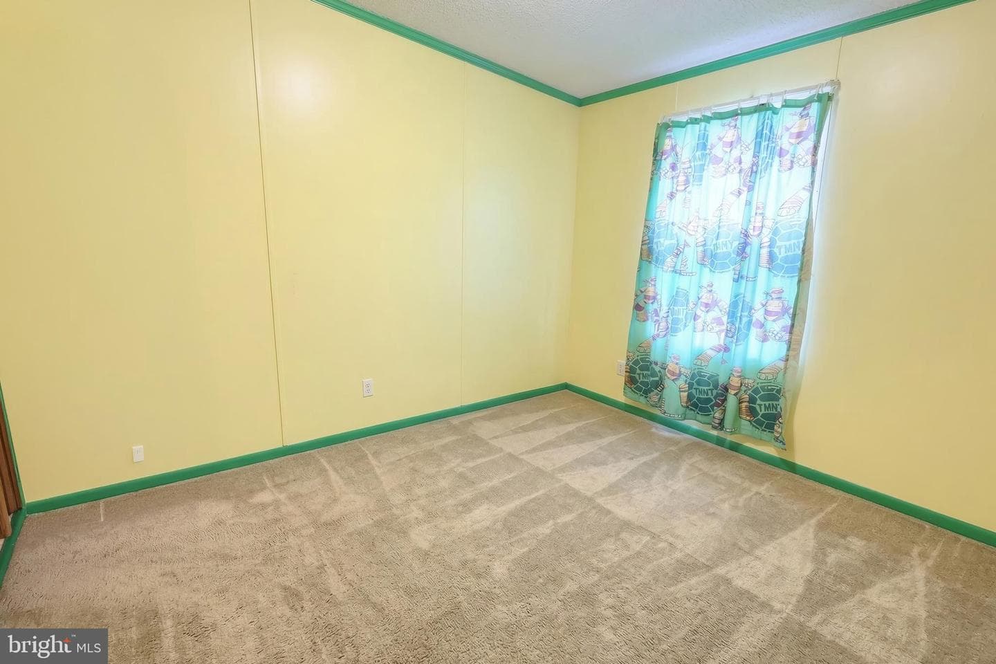 145 Chesapeake Estate photo 19