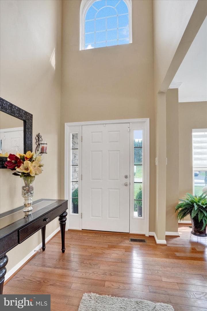 1015 Nugent Way photo 4