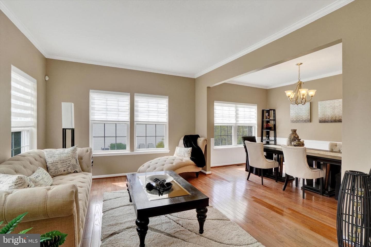 1015 Nugent Way photo 5