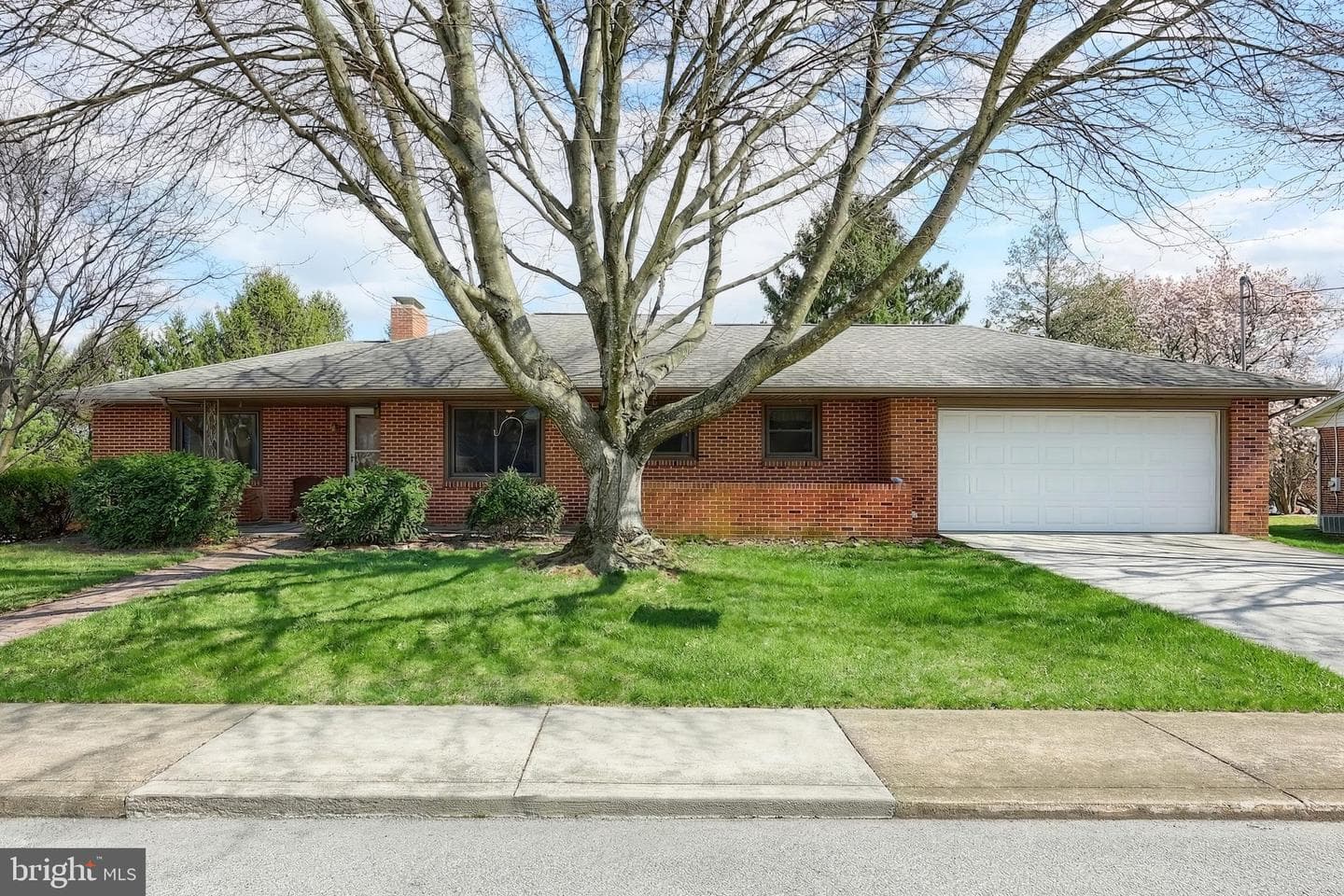 223 N 3rd Street photo 3