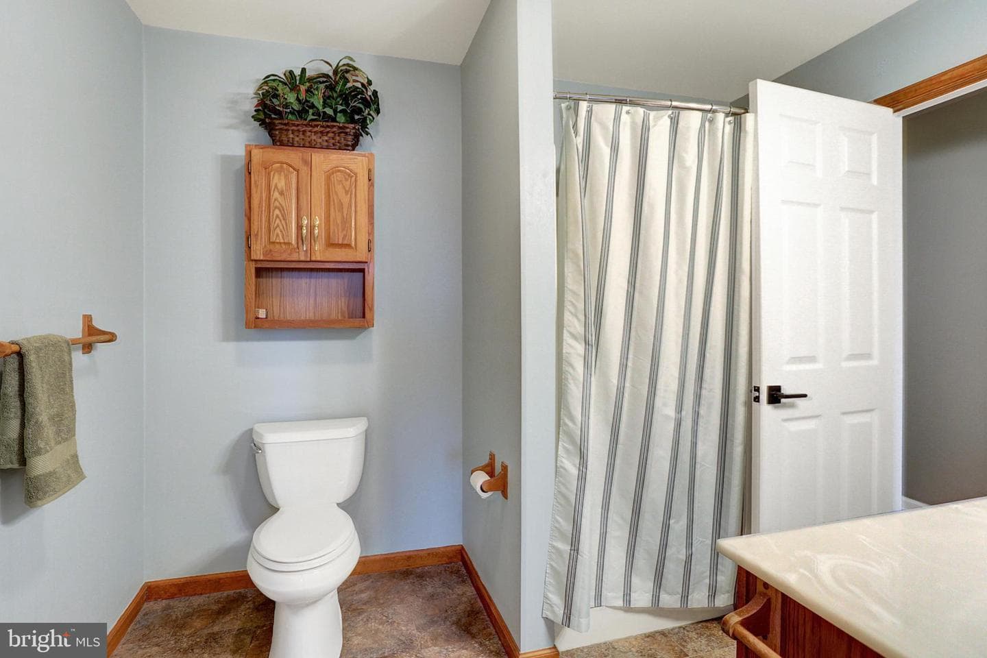 40 Alfred Drive #24 photo 39