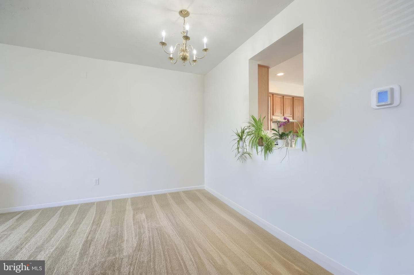 53 Zachary Drive photo 8