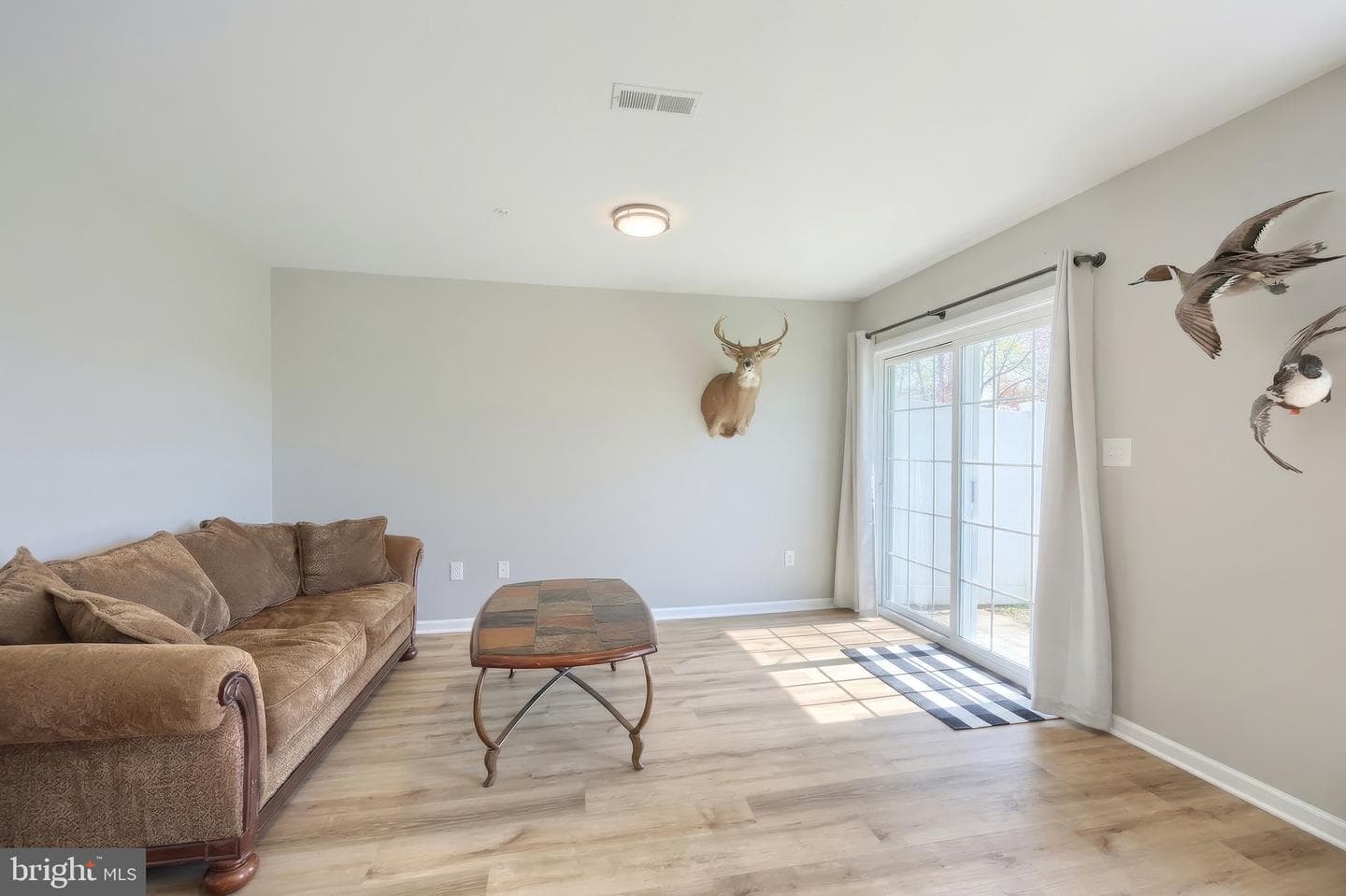 56 Coop Lane photo 6