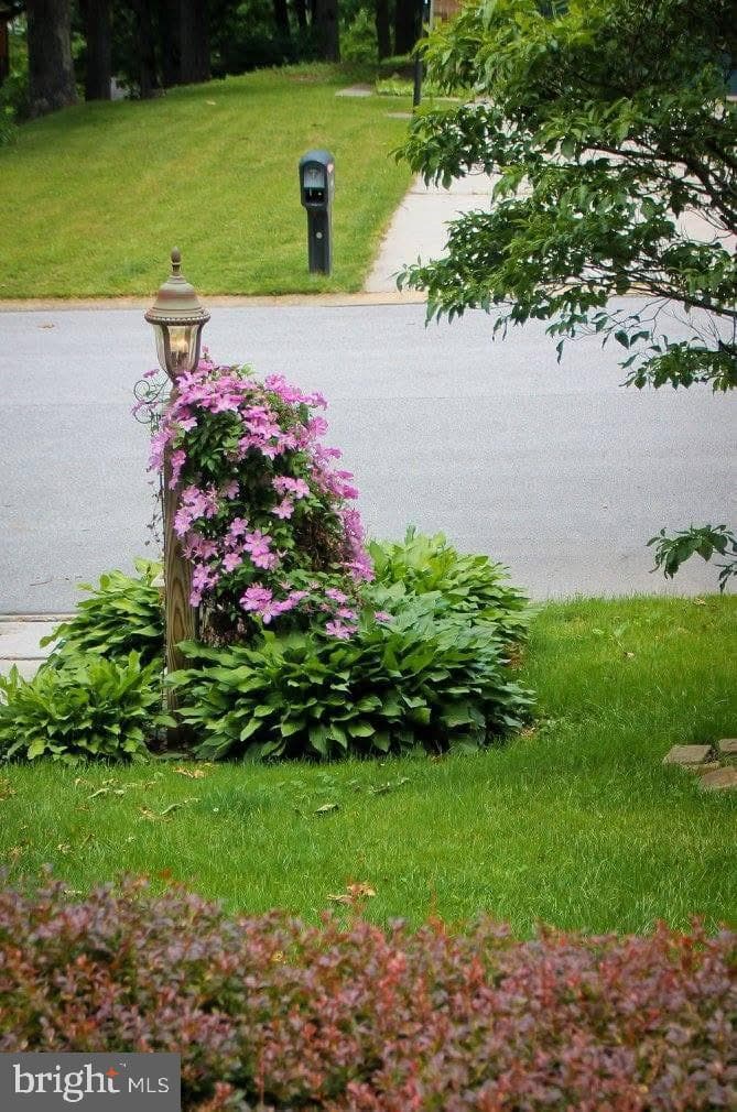 10 Amanda Avenue photo 38
