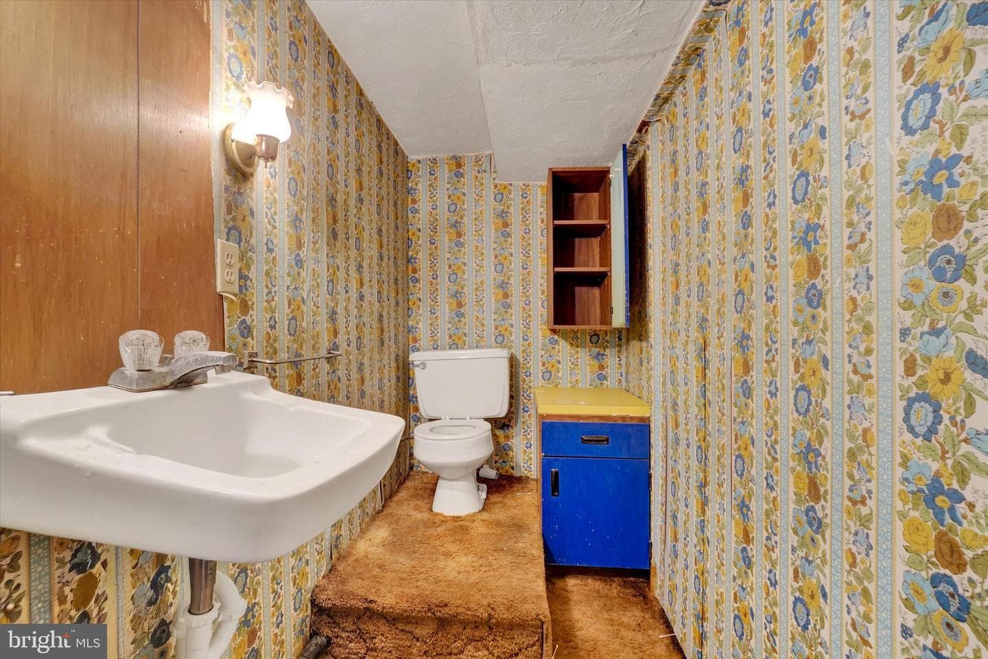 2081 Park Street photo 22