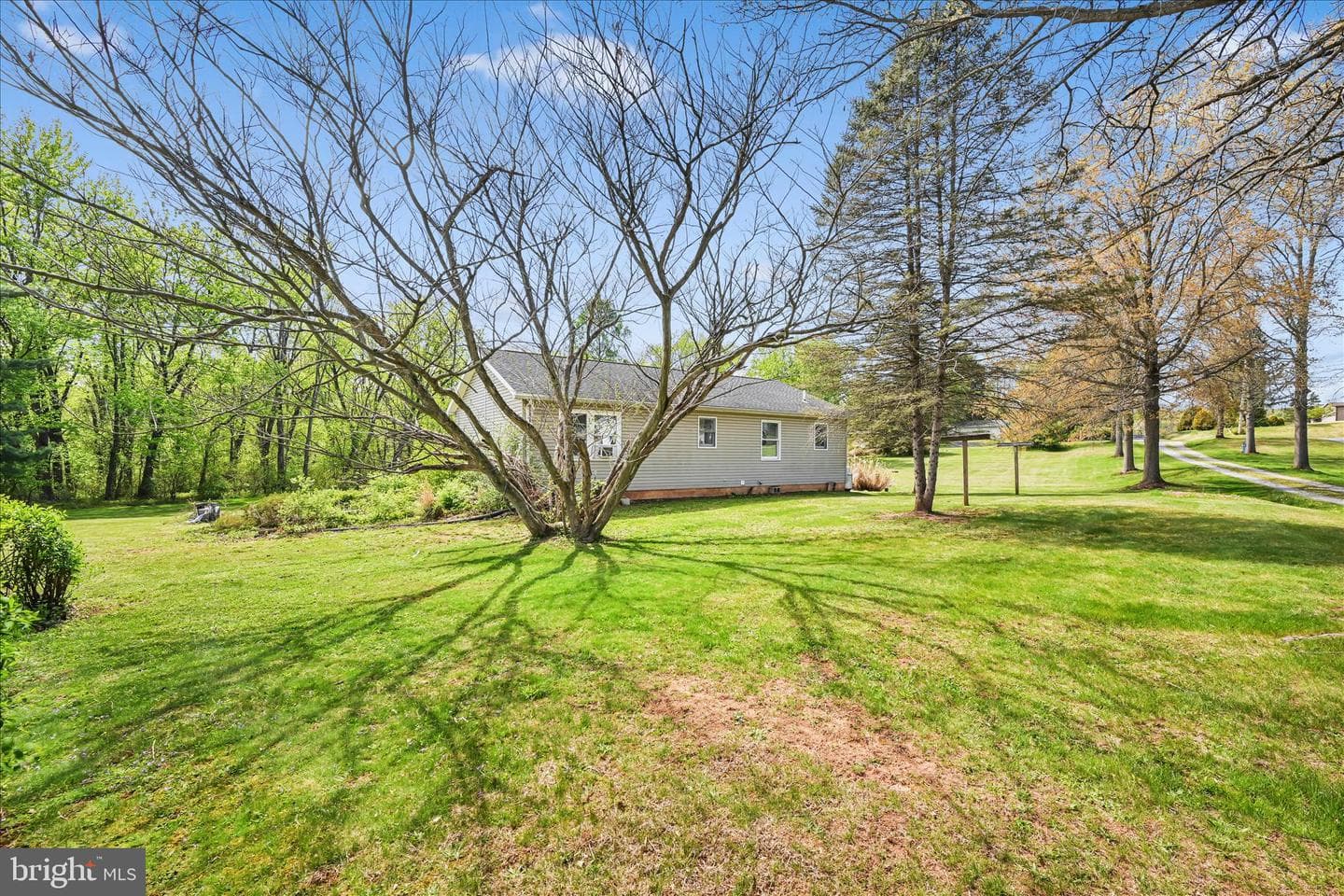 445 Scotch Pine Road photo 34