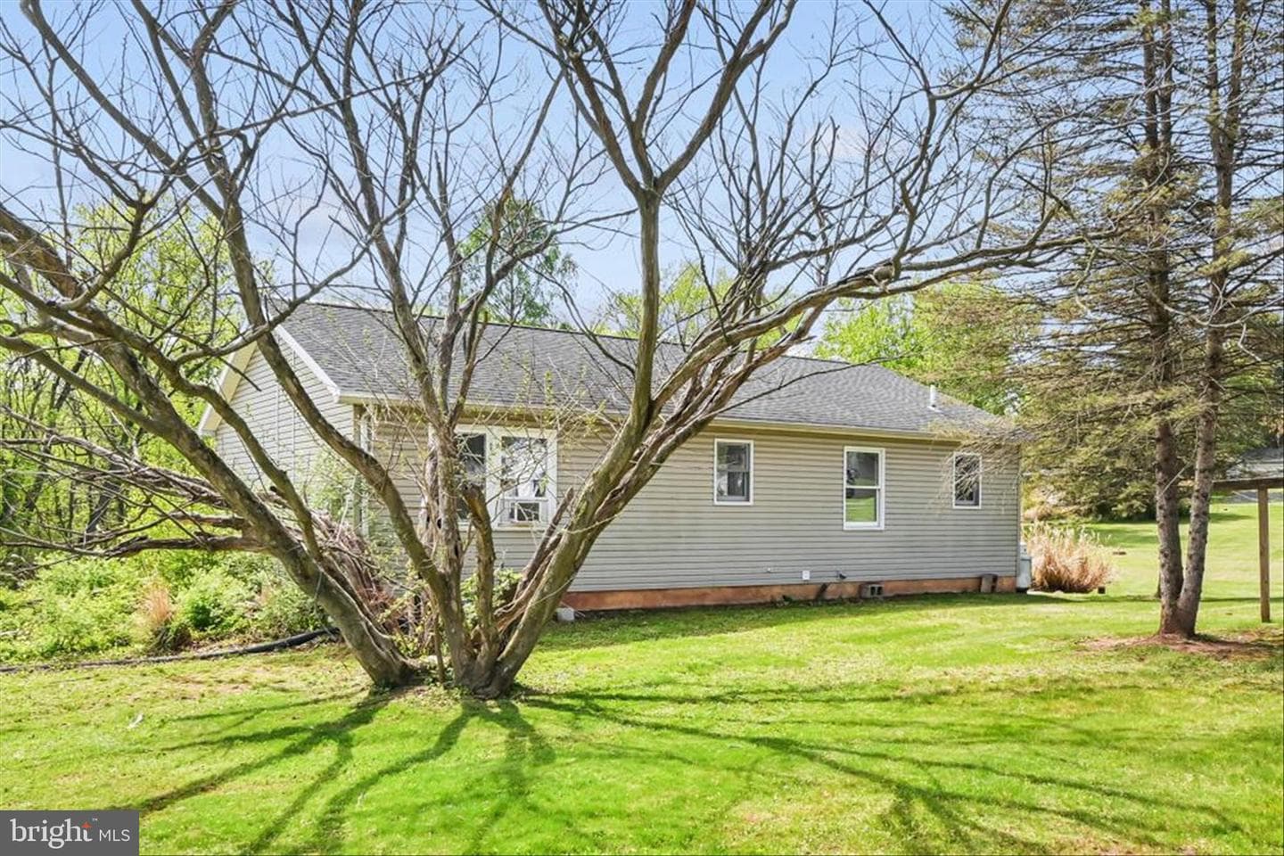 445 Scotch Pine Road photo 35