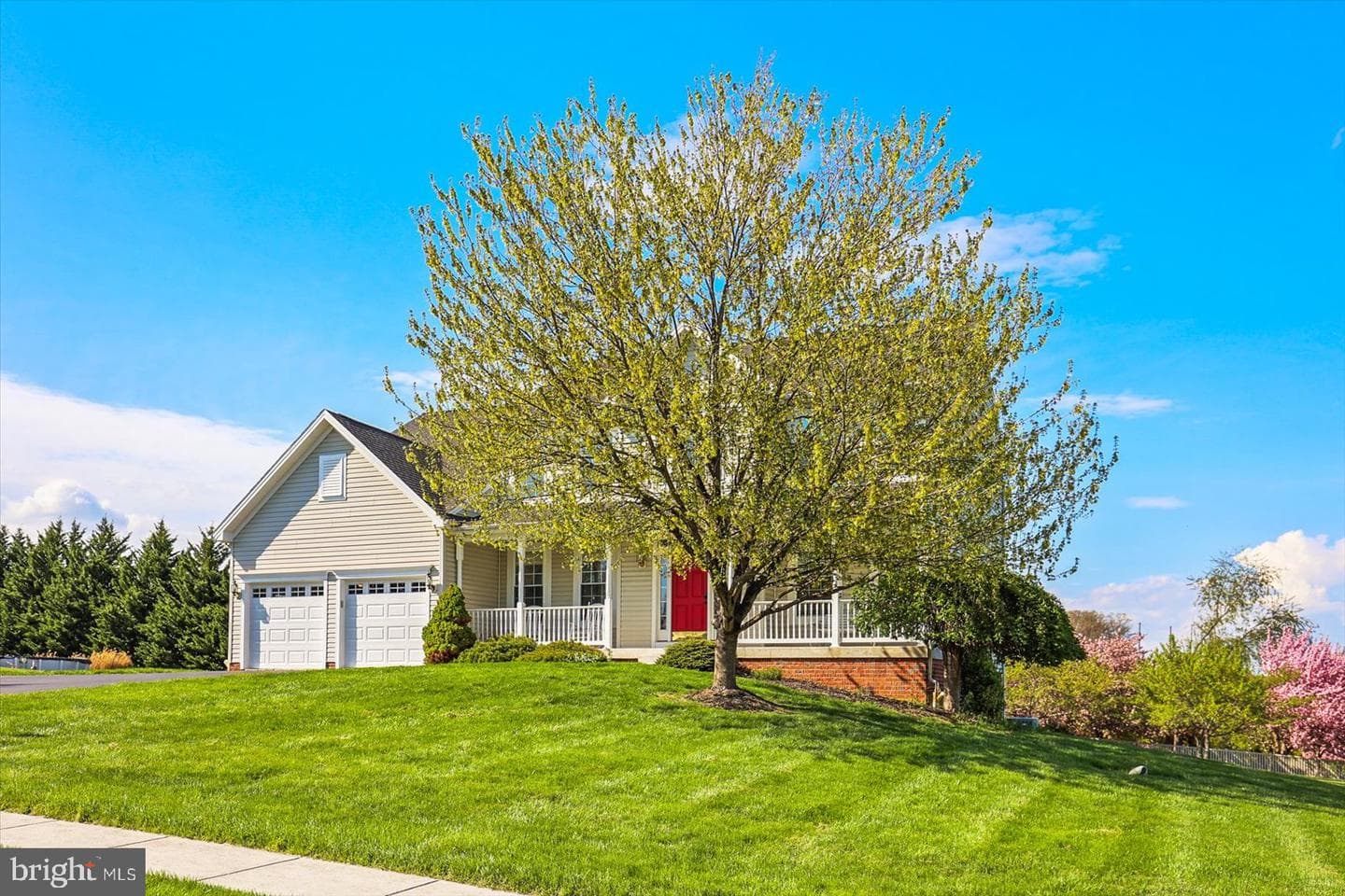 20 Sydney Drive photo 5