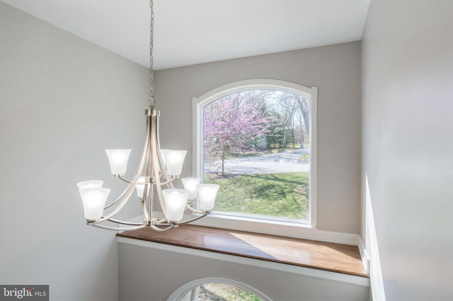 1005 Margherita Court photo 34