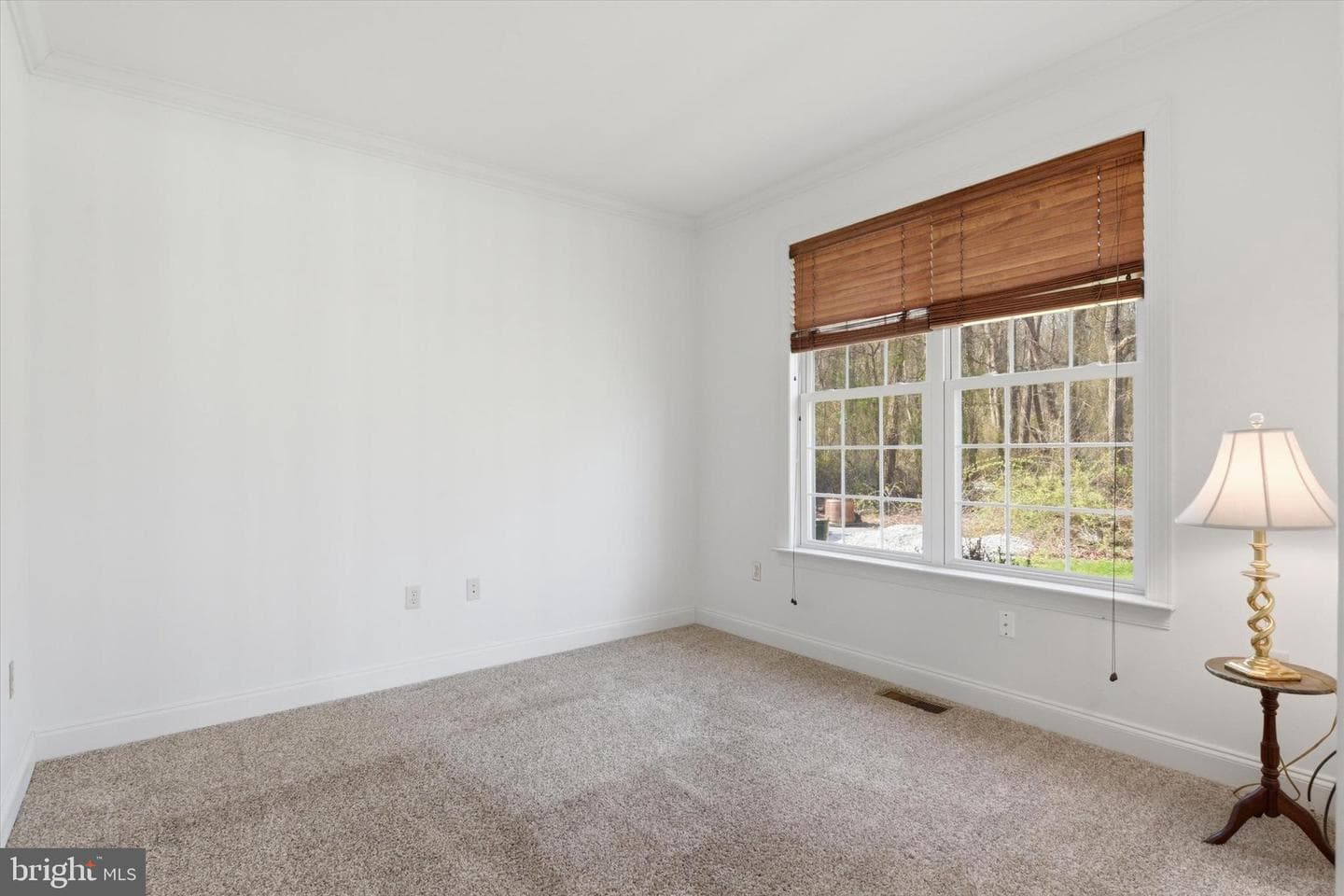935 Silver Lake Road photo 18