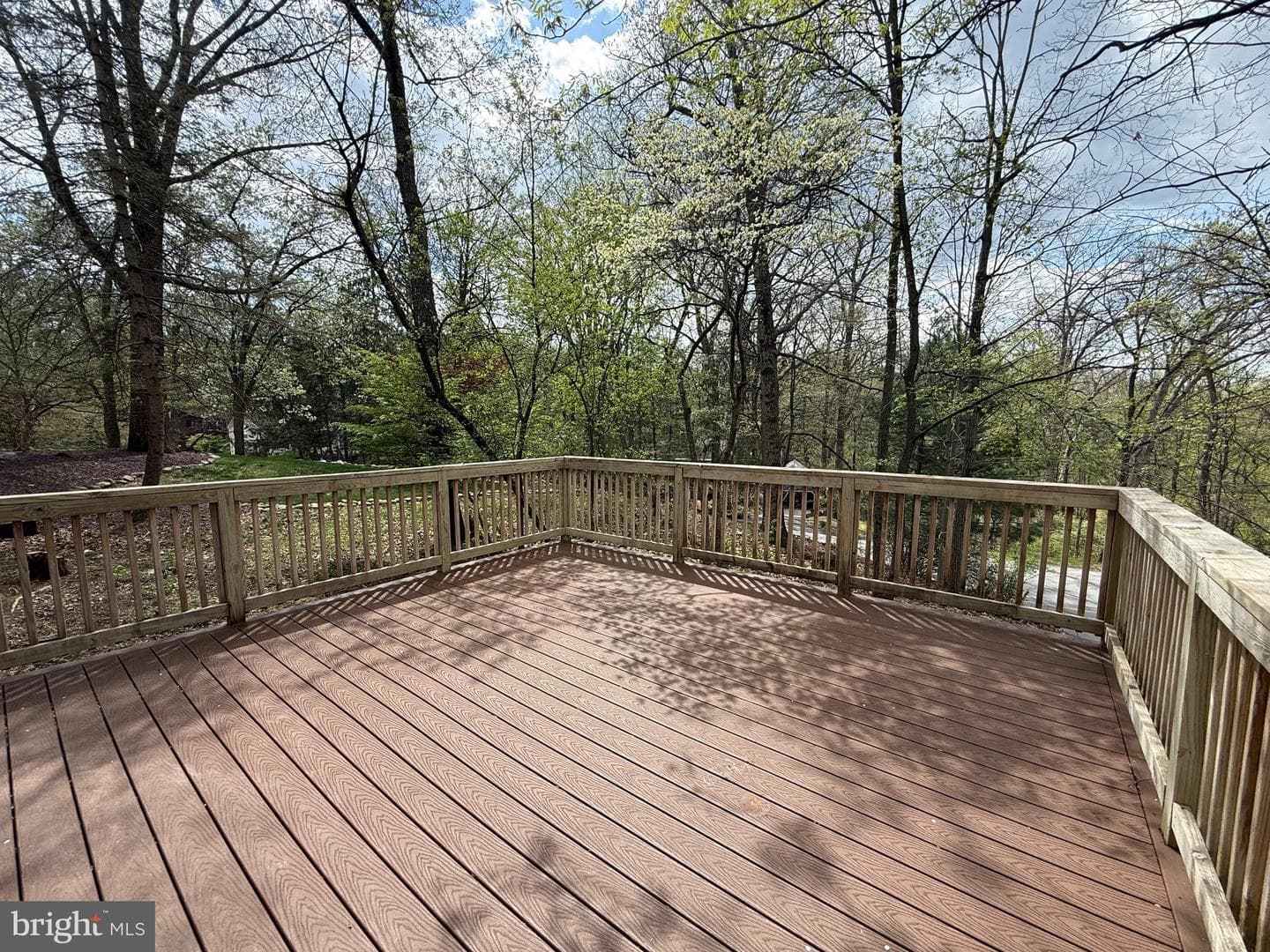 11 Pine Tree Drive photo 12