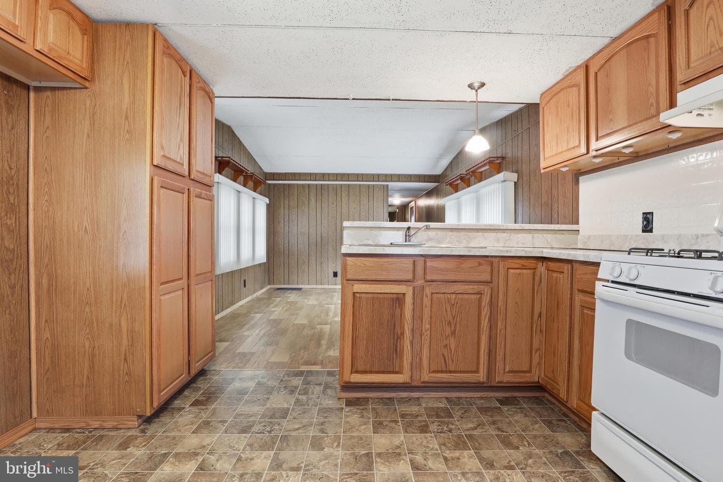 307 Blue Jay Drive photo 11