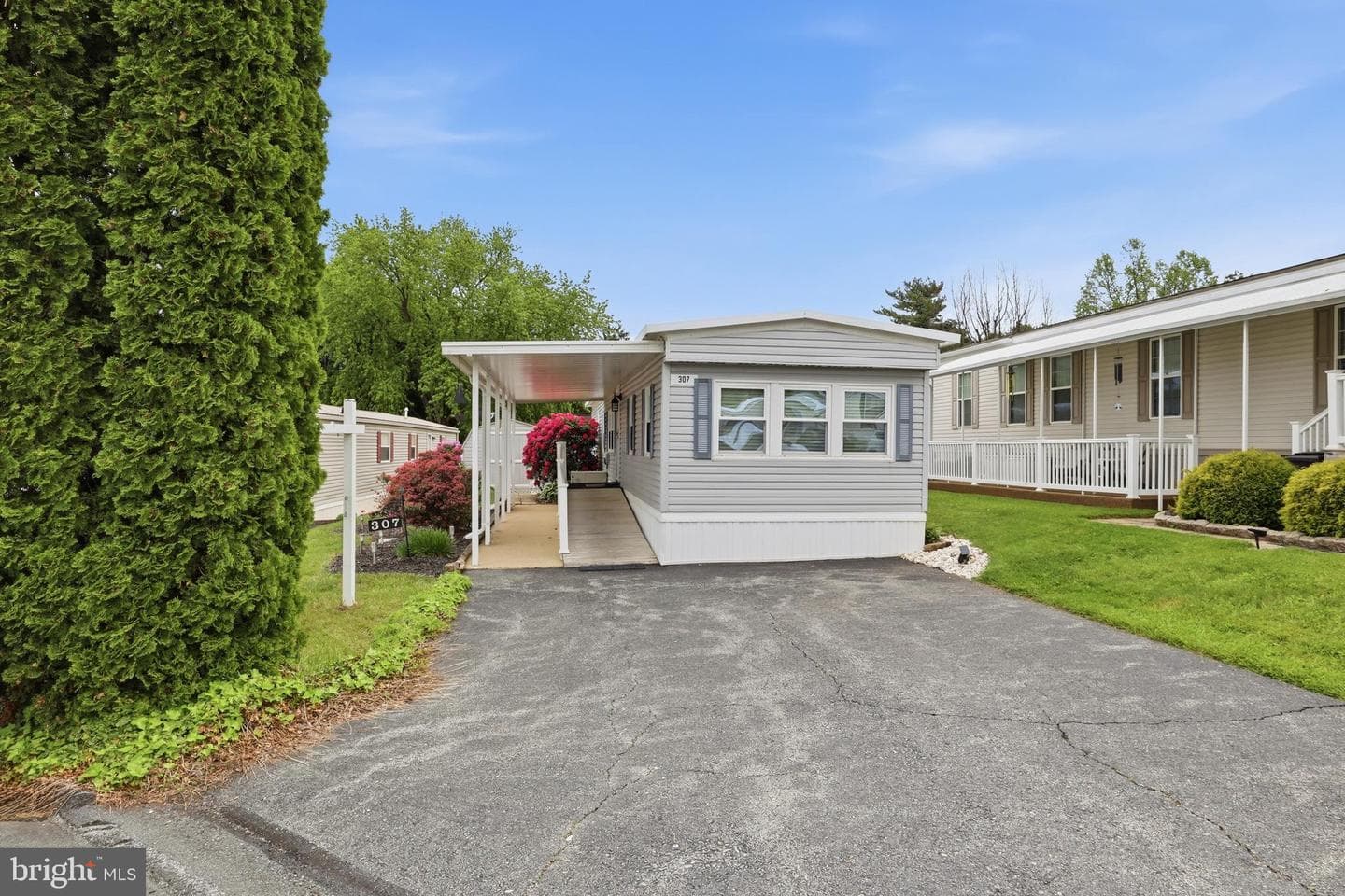 307 Blue Jay Drive photo 4