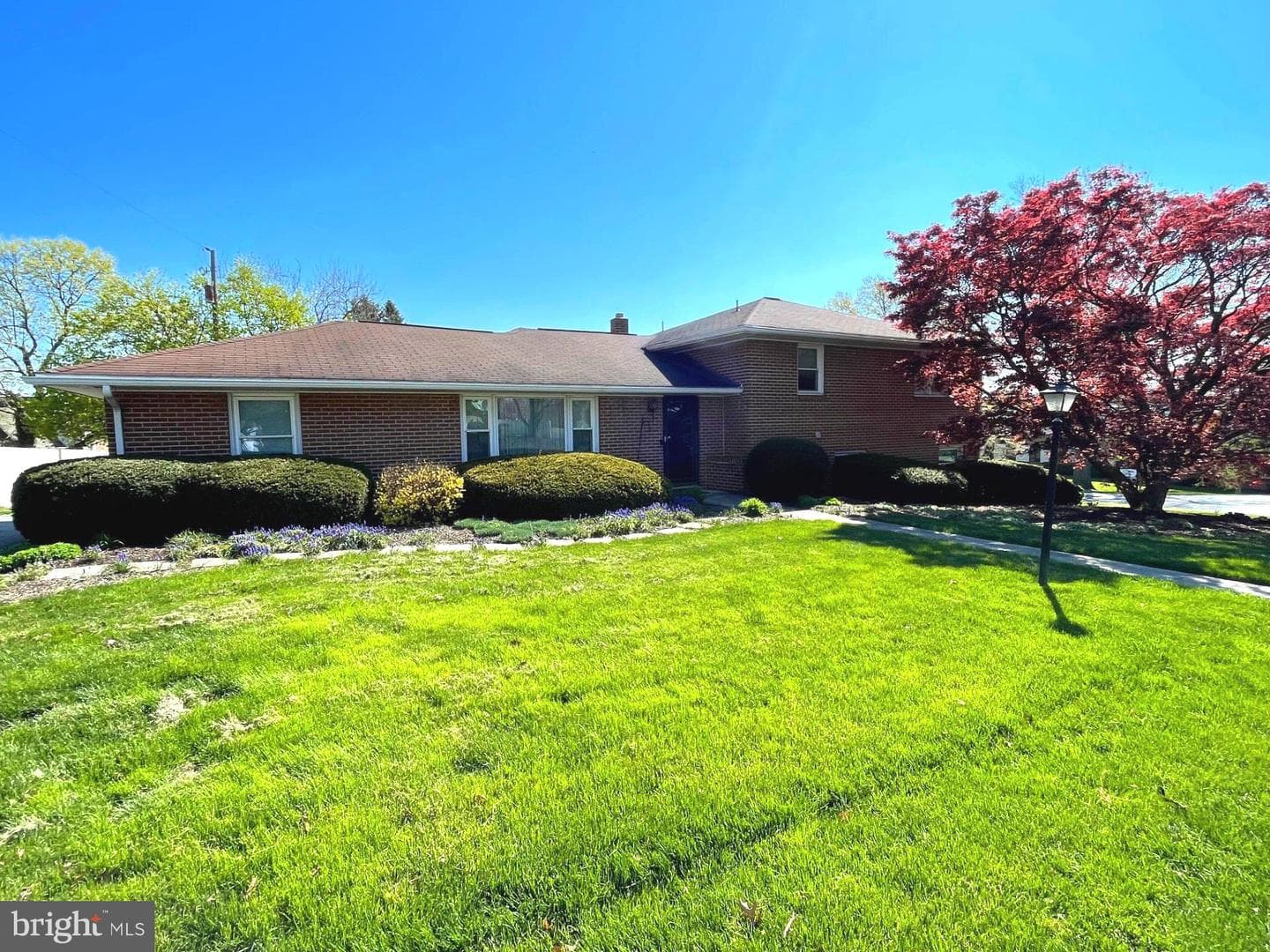 1425 Hill Street photo 35