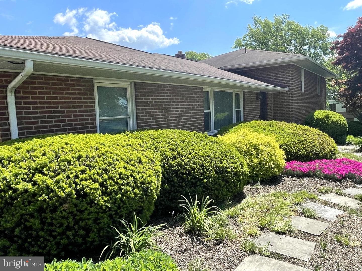 1425 Hill Street photo 4