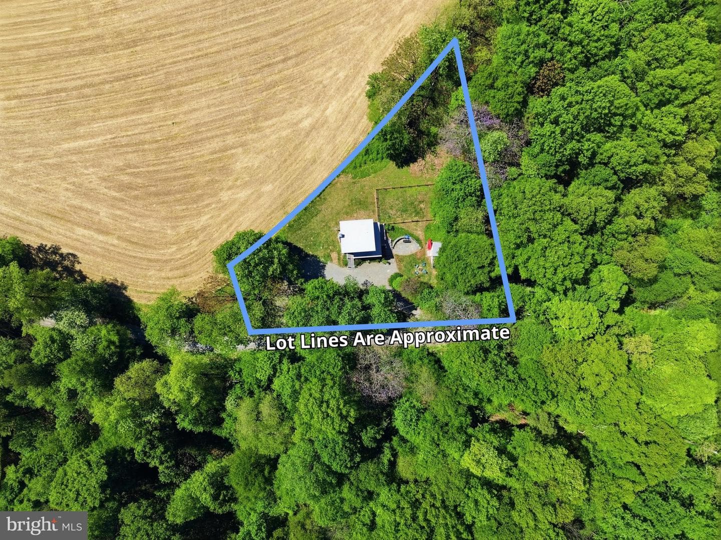 293 Grove Road photo 28
