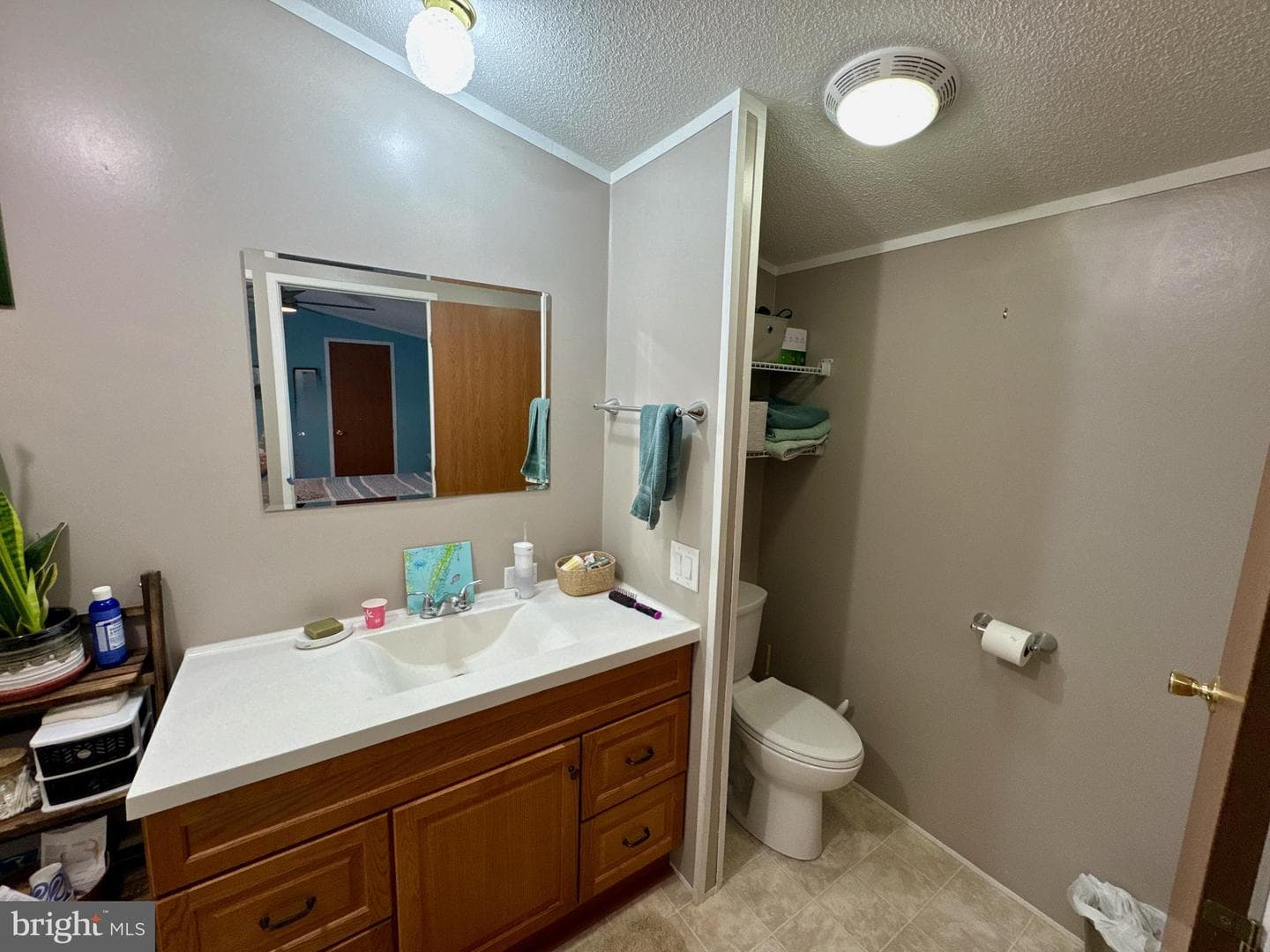 66 Daisy Lane #66 photo 24