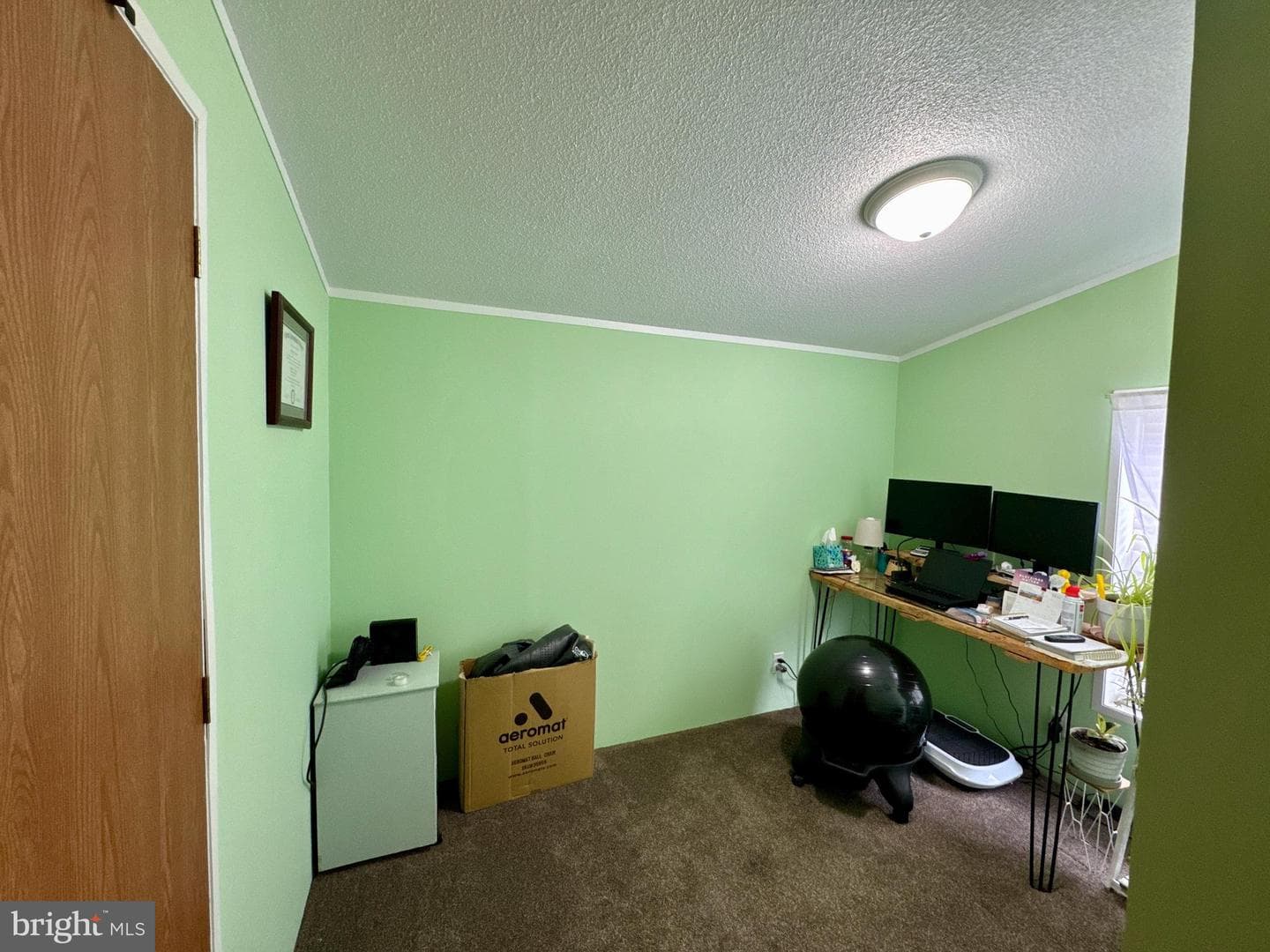 66 Daisy Lane #66 photo 28