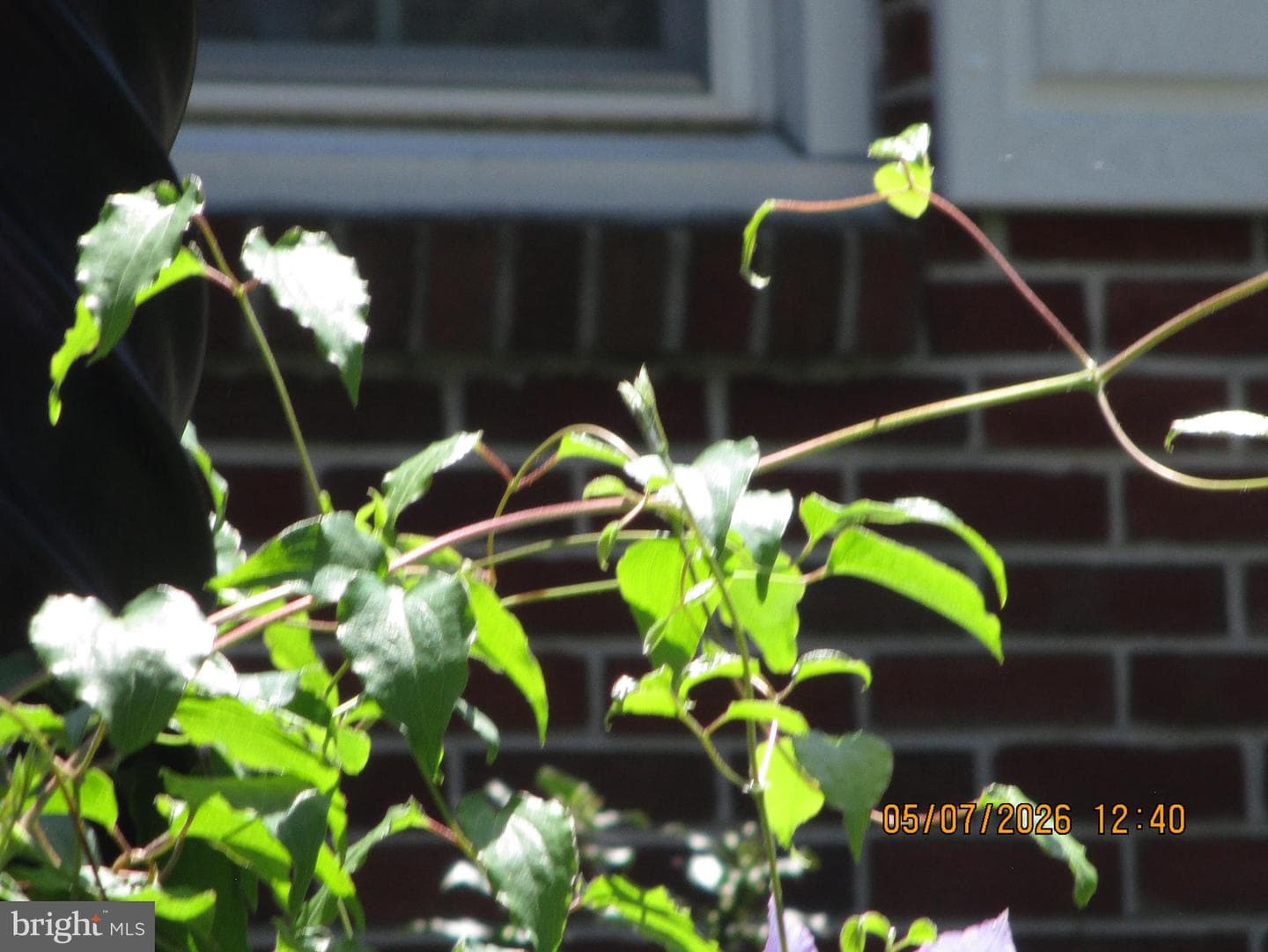 45 Ridgeway Drive photo 52