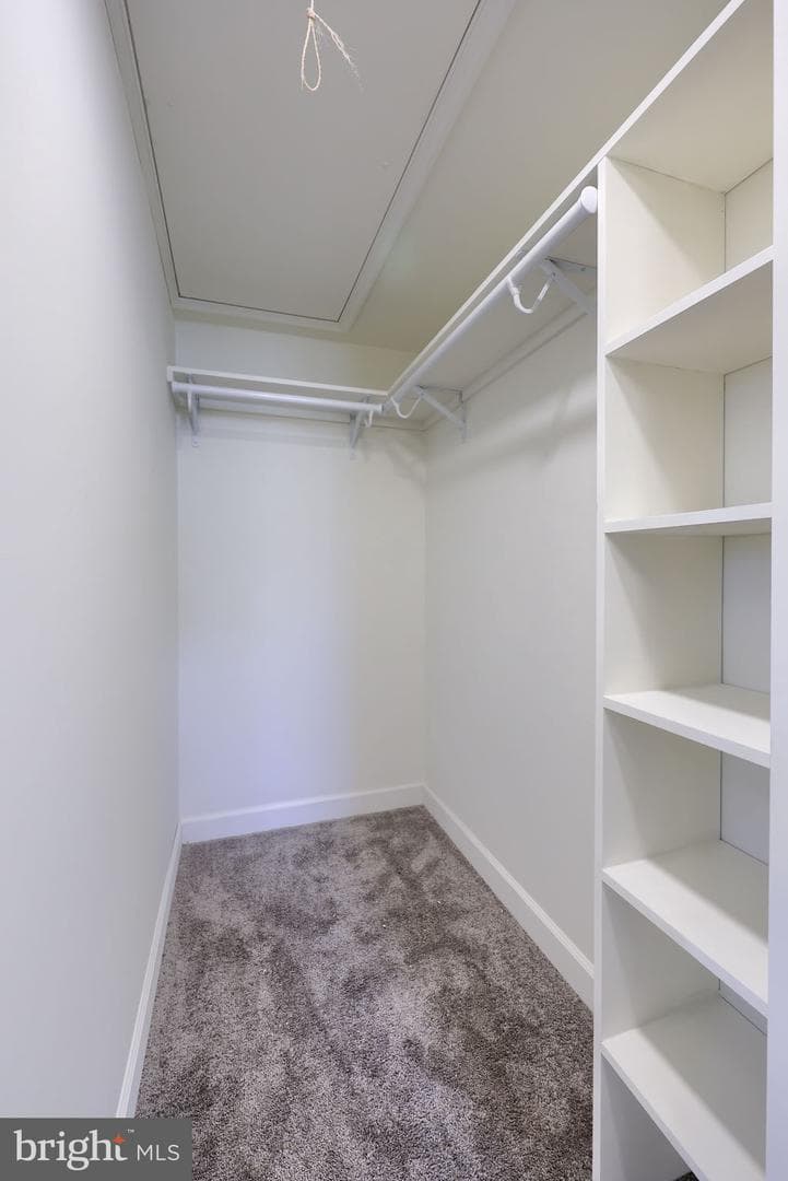 250 Nollyn Drive photo 27