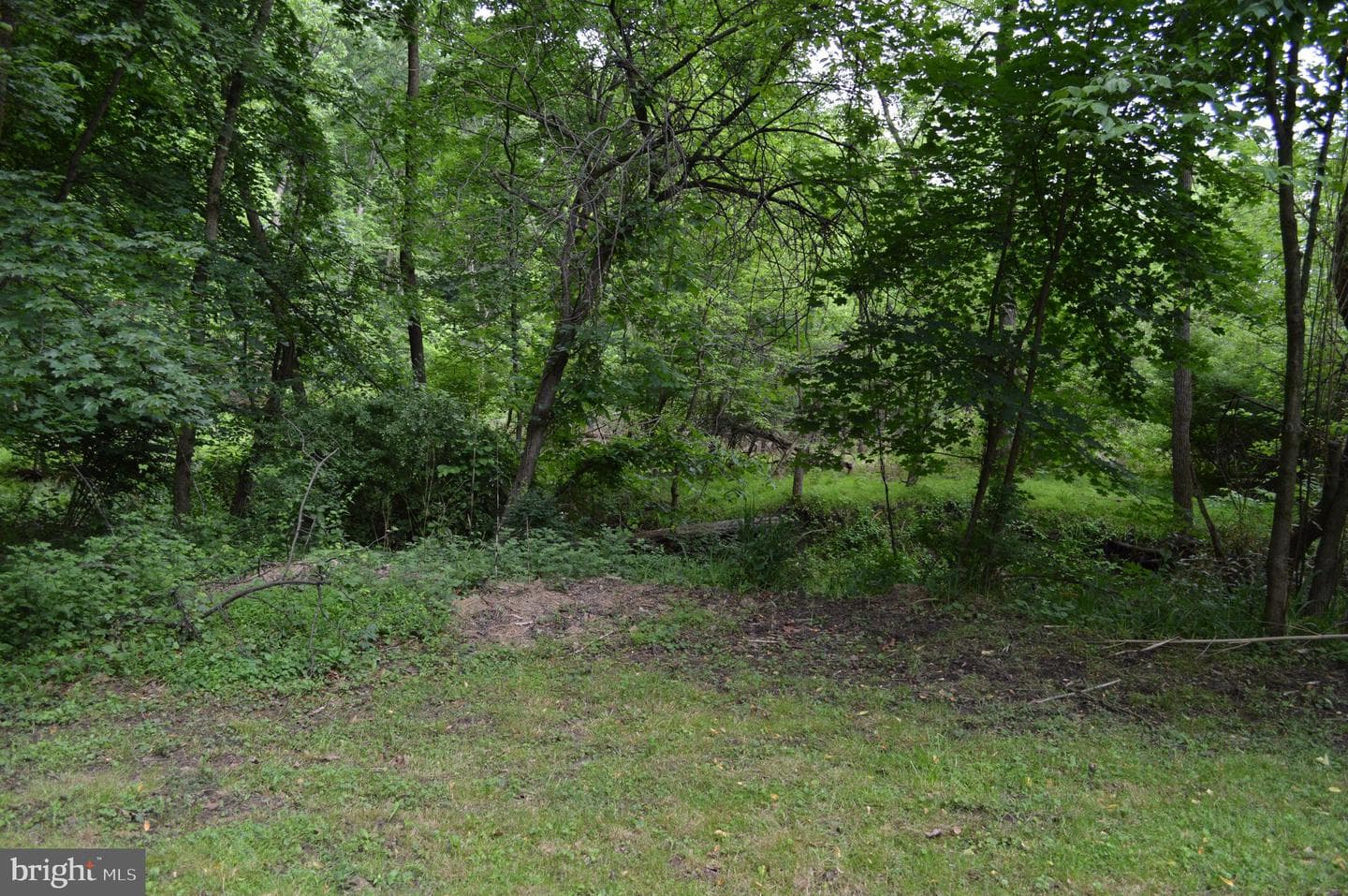 595 Wago Road photo 31