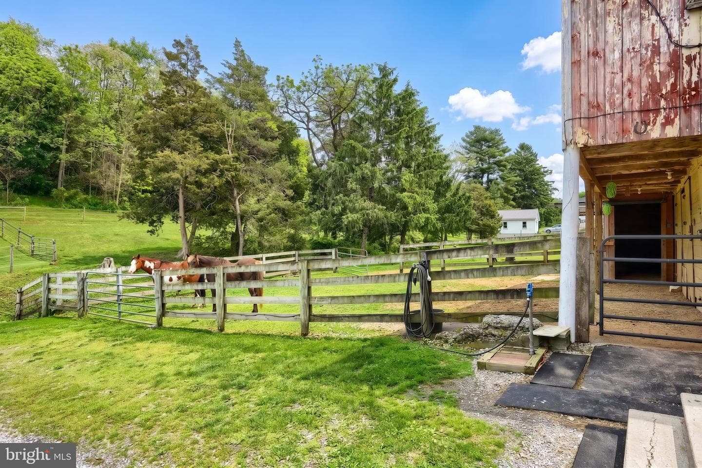1425 Sunnyside Road photo 21