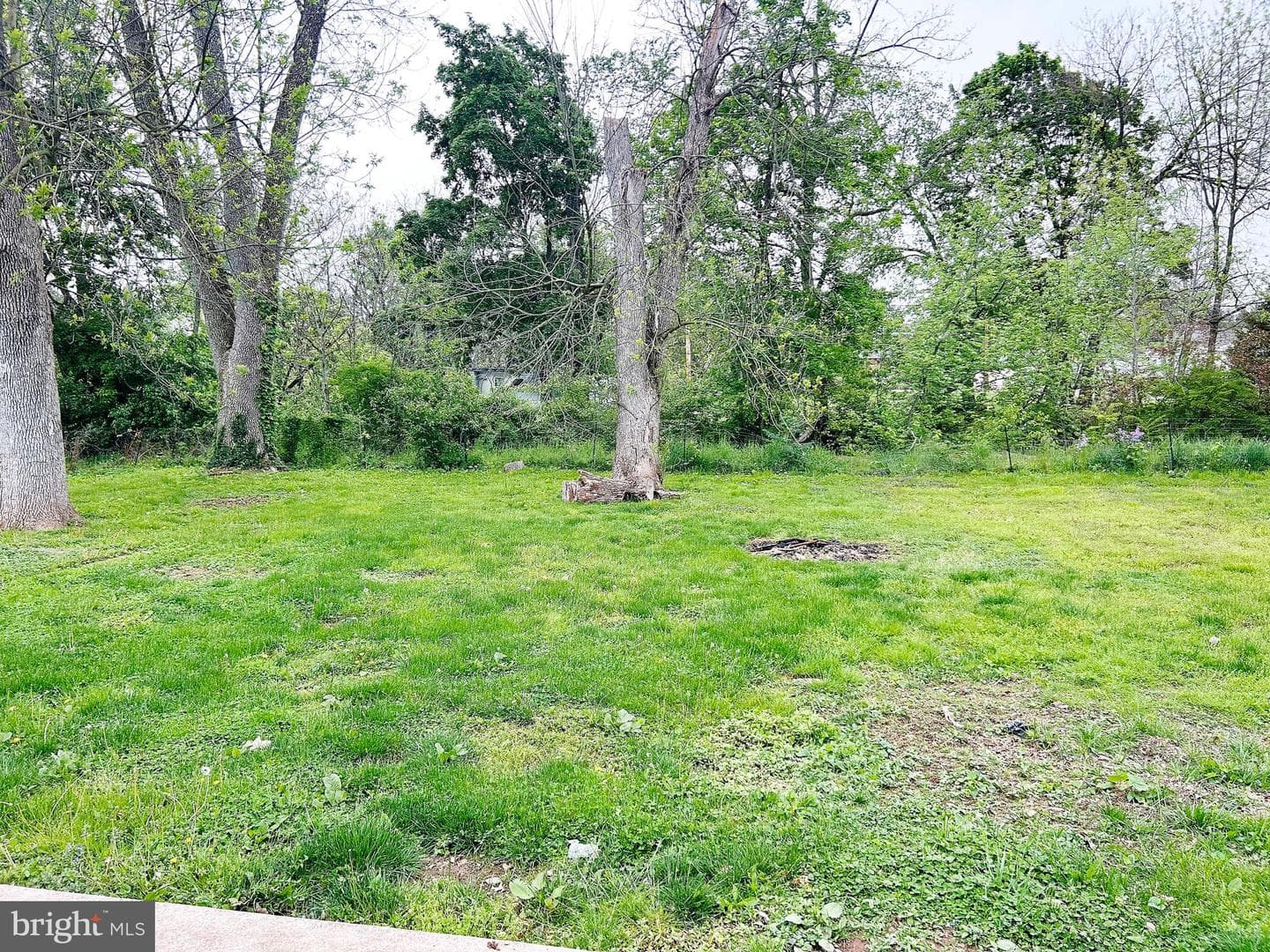 2311 Log Cabin Road photo 16