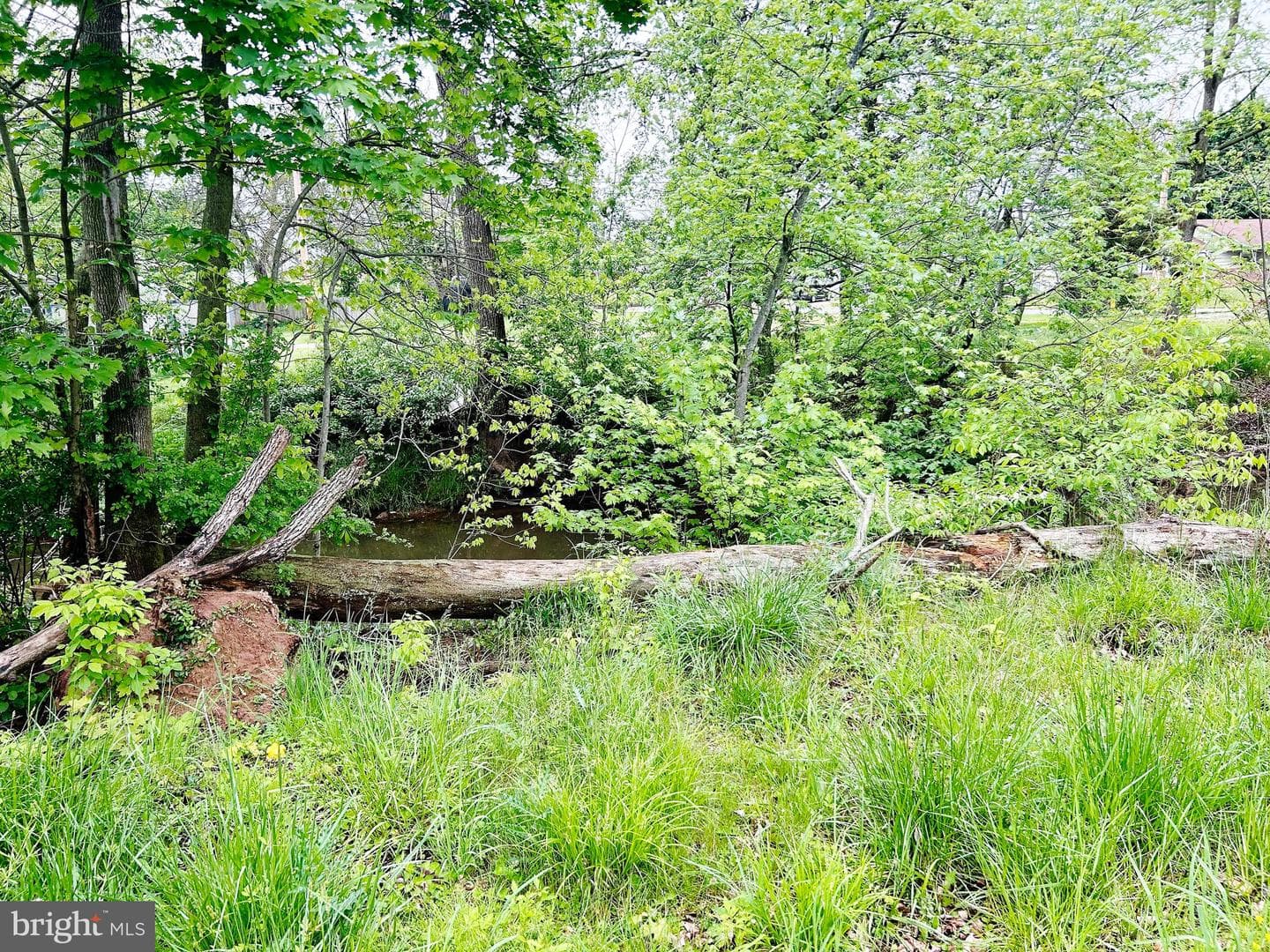 2311 Log Cabin Road photo 17