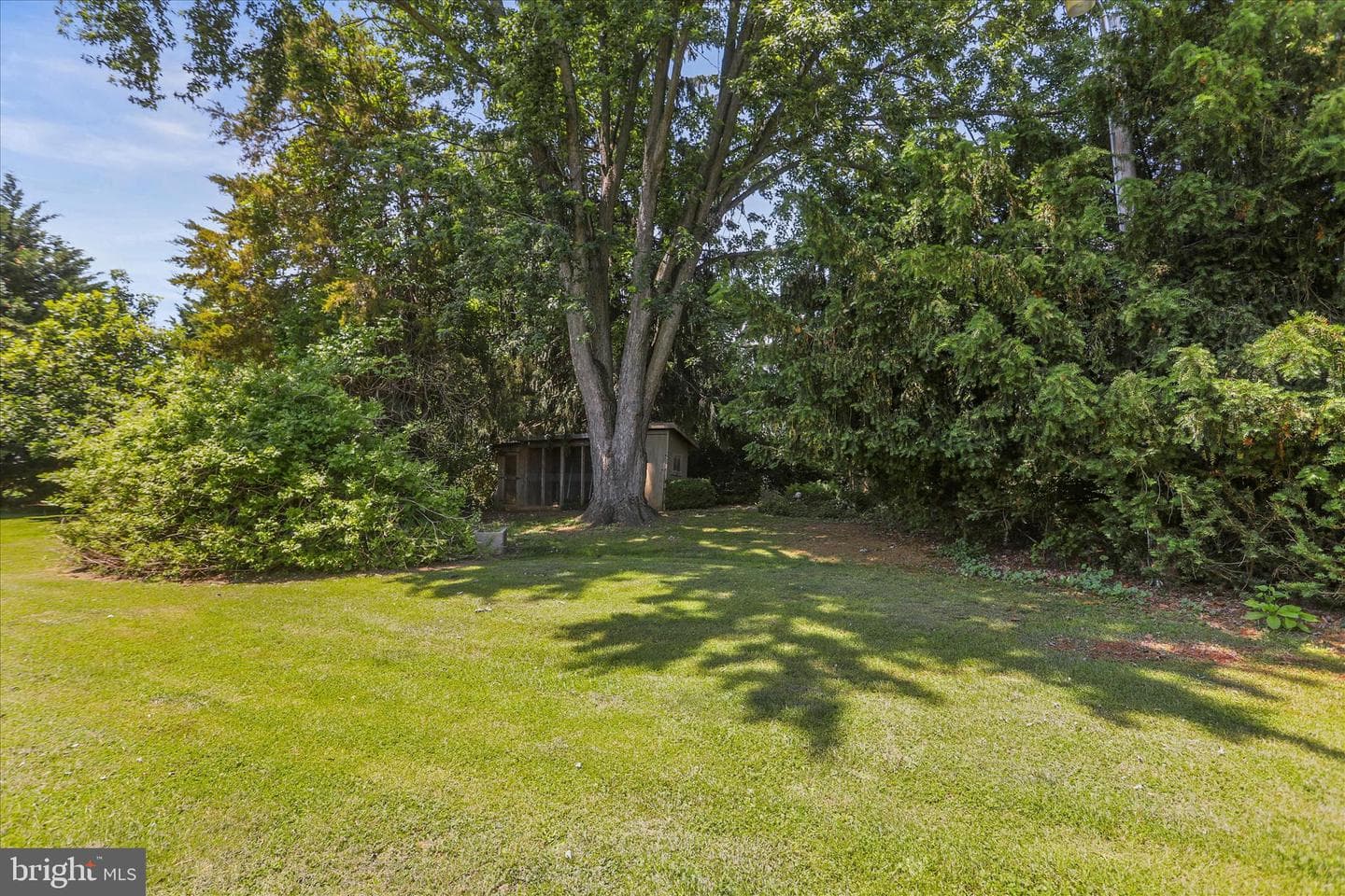 125 Hickory Lane photo 63