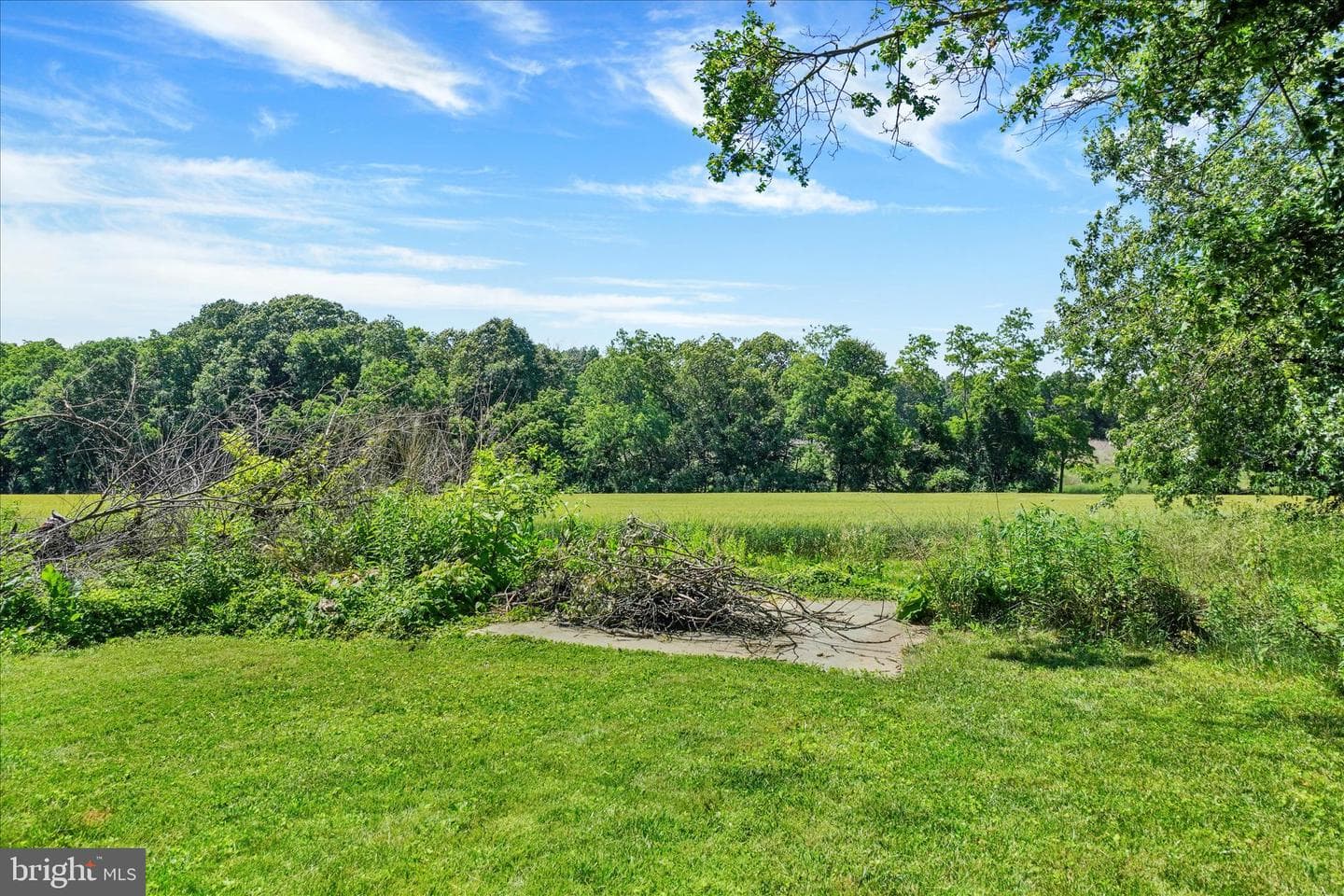 4161 Walters Hatchery Road photo 33