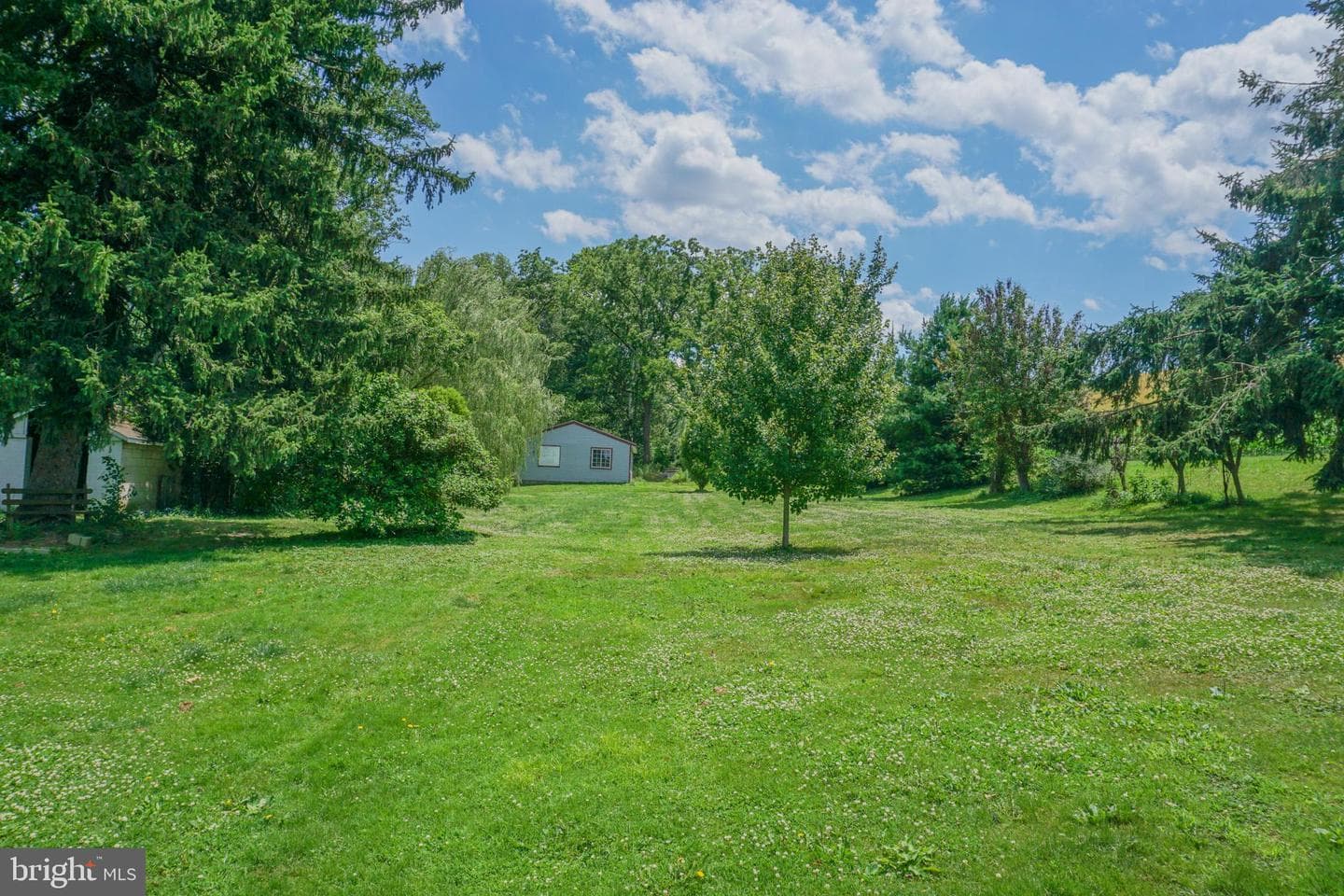 1303 Sunnyside Road photo 4