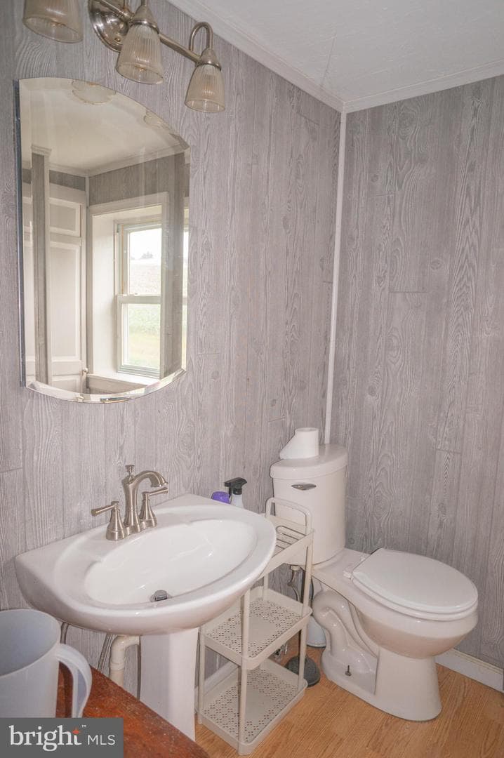 1303 Sunnyside Road photo 40