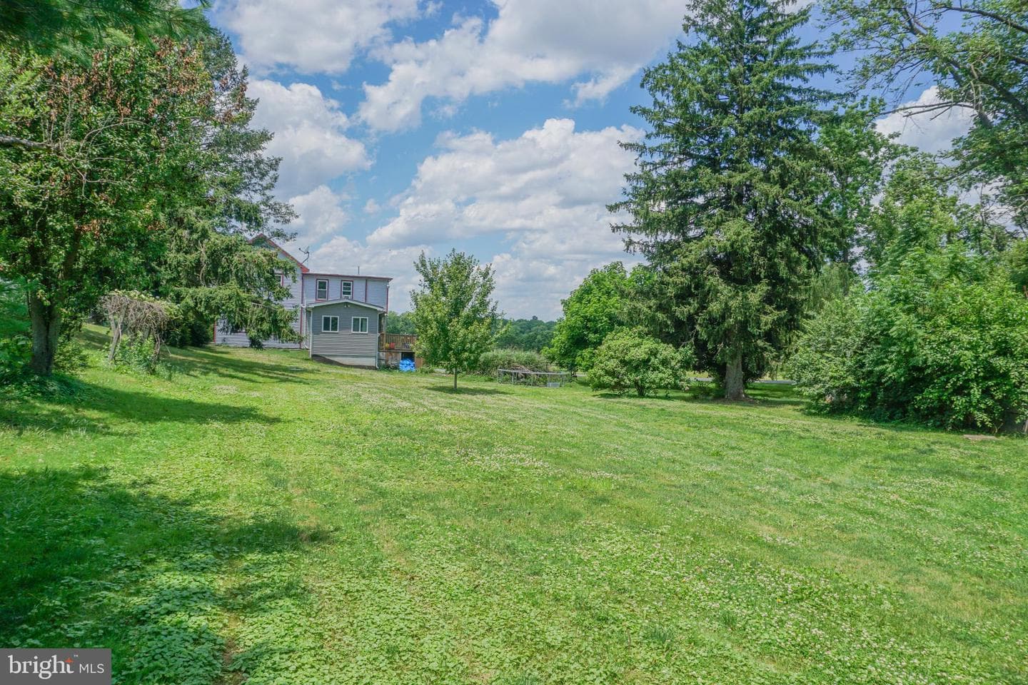 1303 Sunnyside Road photo 46