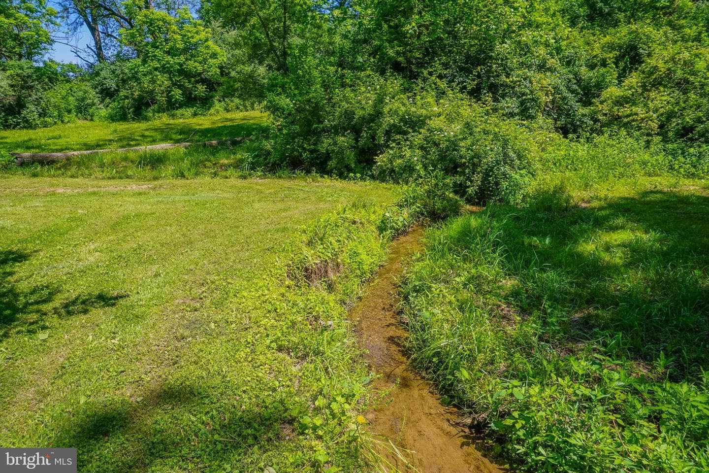 1303 Sunnyside Road photo 55