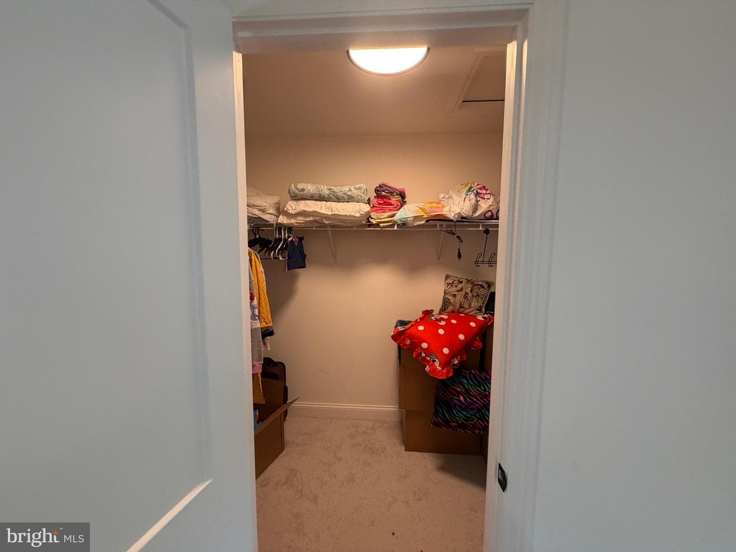160 Payne Drive photo 46