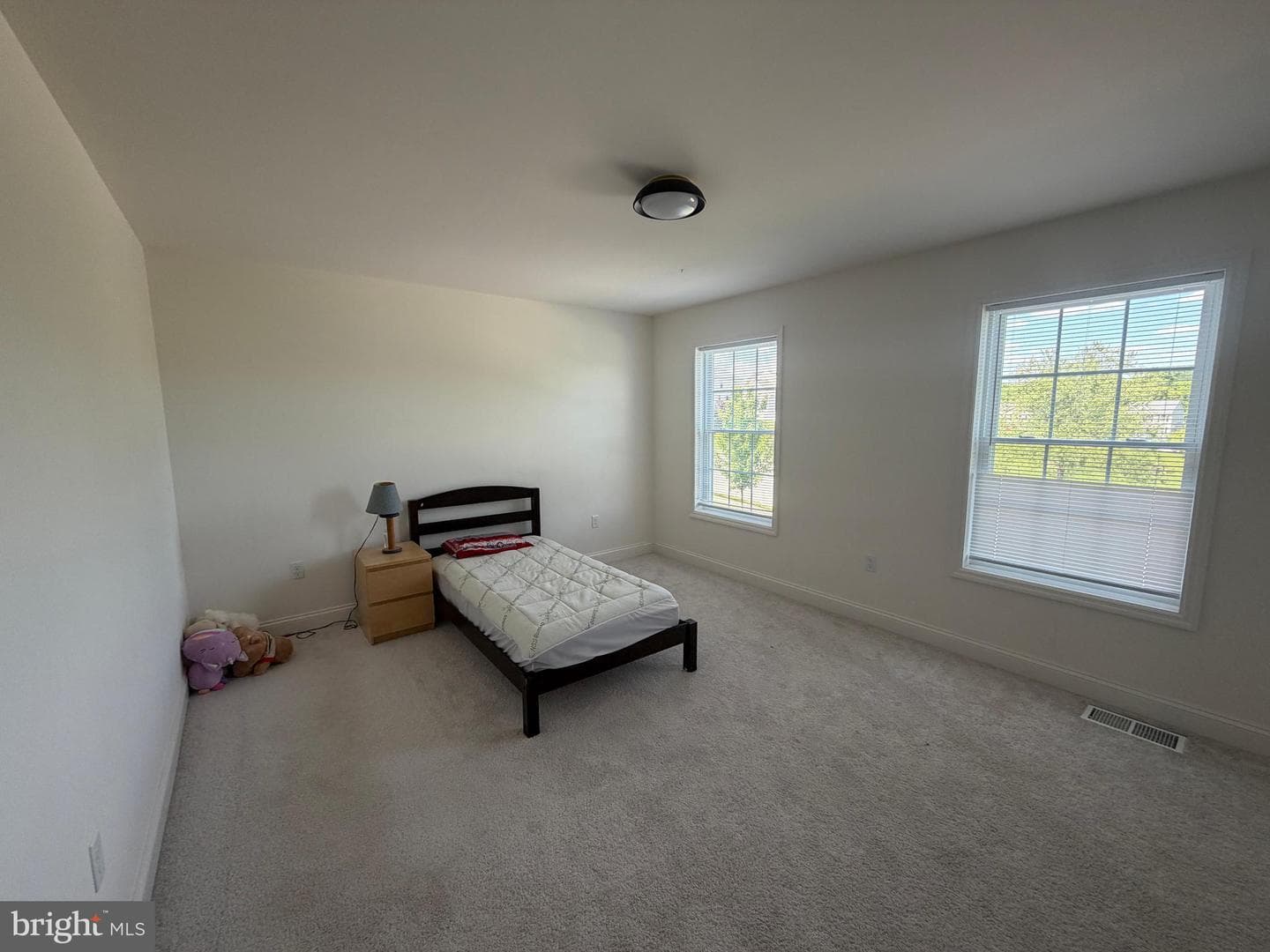 160 Payne Drive photo 64